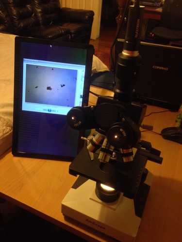 AmScope T490B Compound Trinocular Microscope, 2000X Magnification | 40X-2000X Magnification Range Compound Biological Microscope Mechanical Stage Built-In Condenser customer photo 1