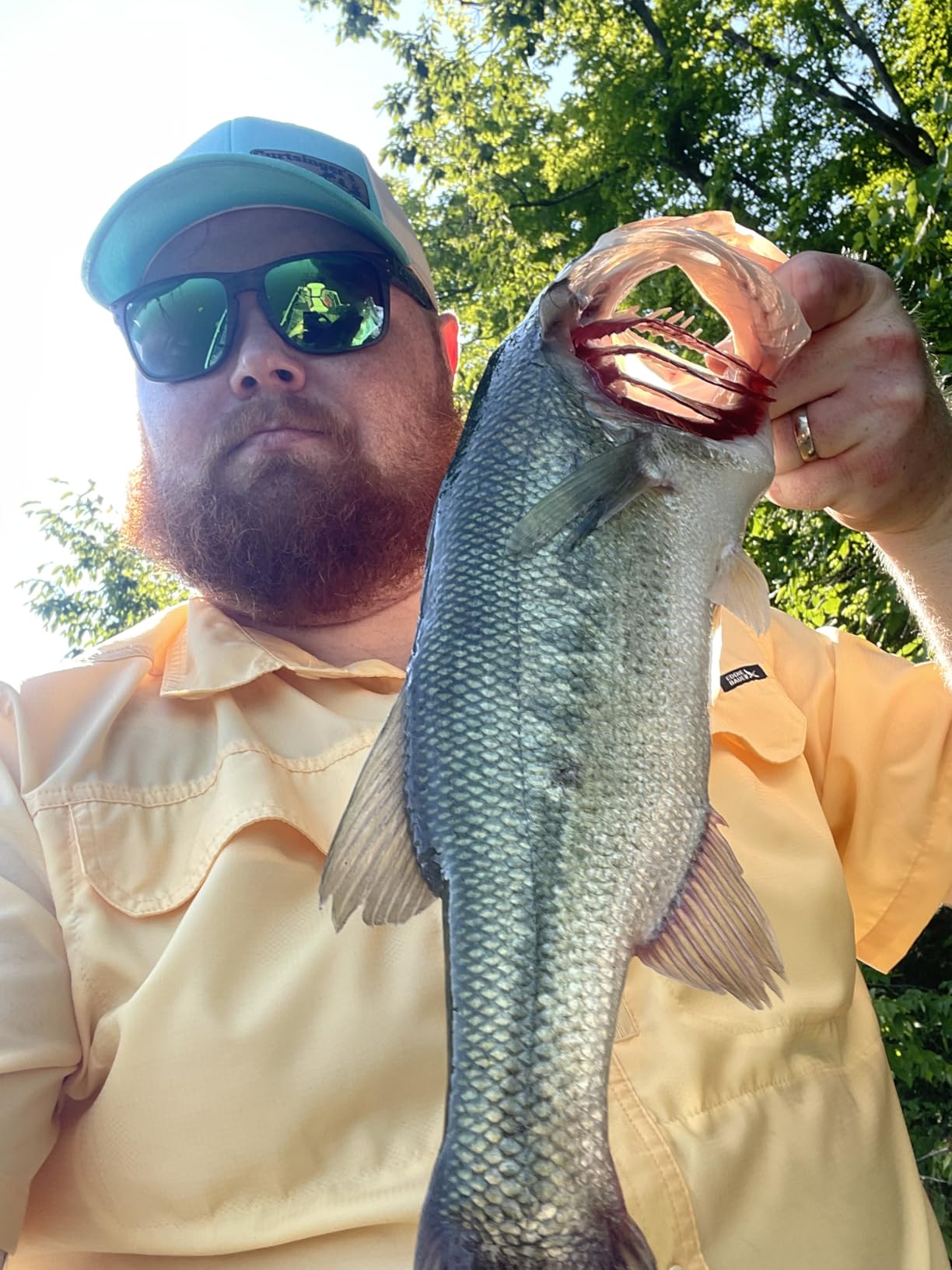 Seaguar Tatsu Fishing Line for Casting, & Live Bait, 100% Fluorocarbon, Clear, Multiple Sizes customer photo 2