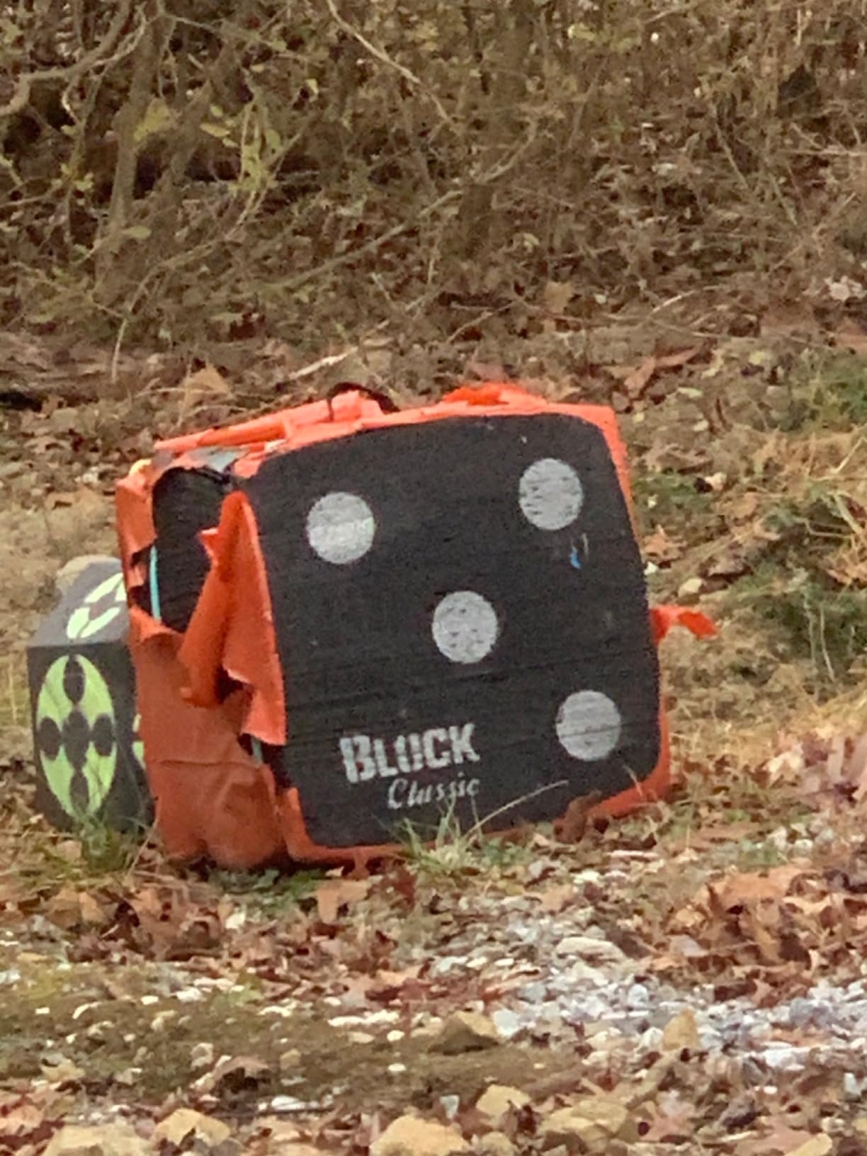 BLOCK Classic Layered Foam Archery Target, 18