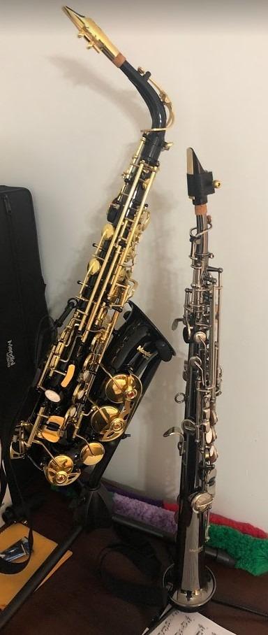 Mendini By Cecilio Alto Saxophone for Beginners, E Flat Alto Saxophone for Students Musicians with Tuner, Mouthpiece, Case, 10 Reeds, Grease, Cleaning Cloth & Rod, Gloves, Strap, Book (Red Gold) customer photo 1