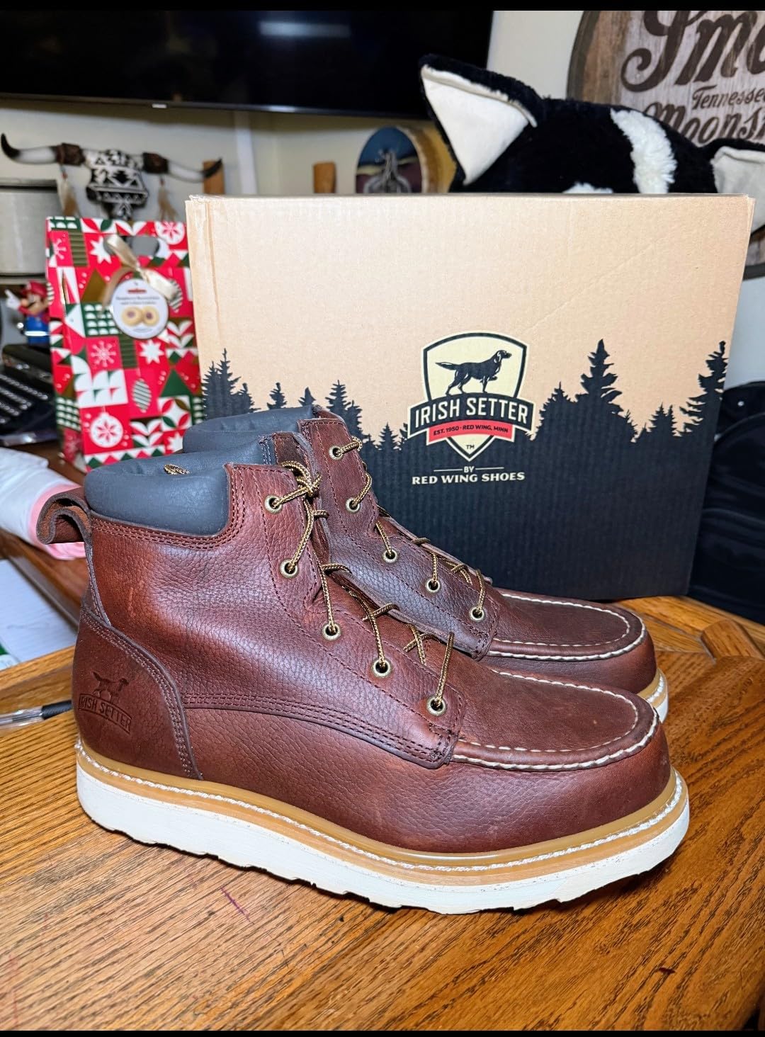 Irish Setter Ashby 6