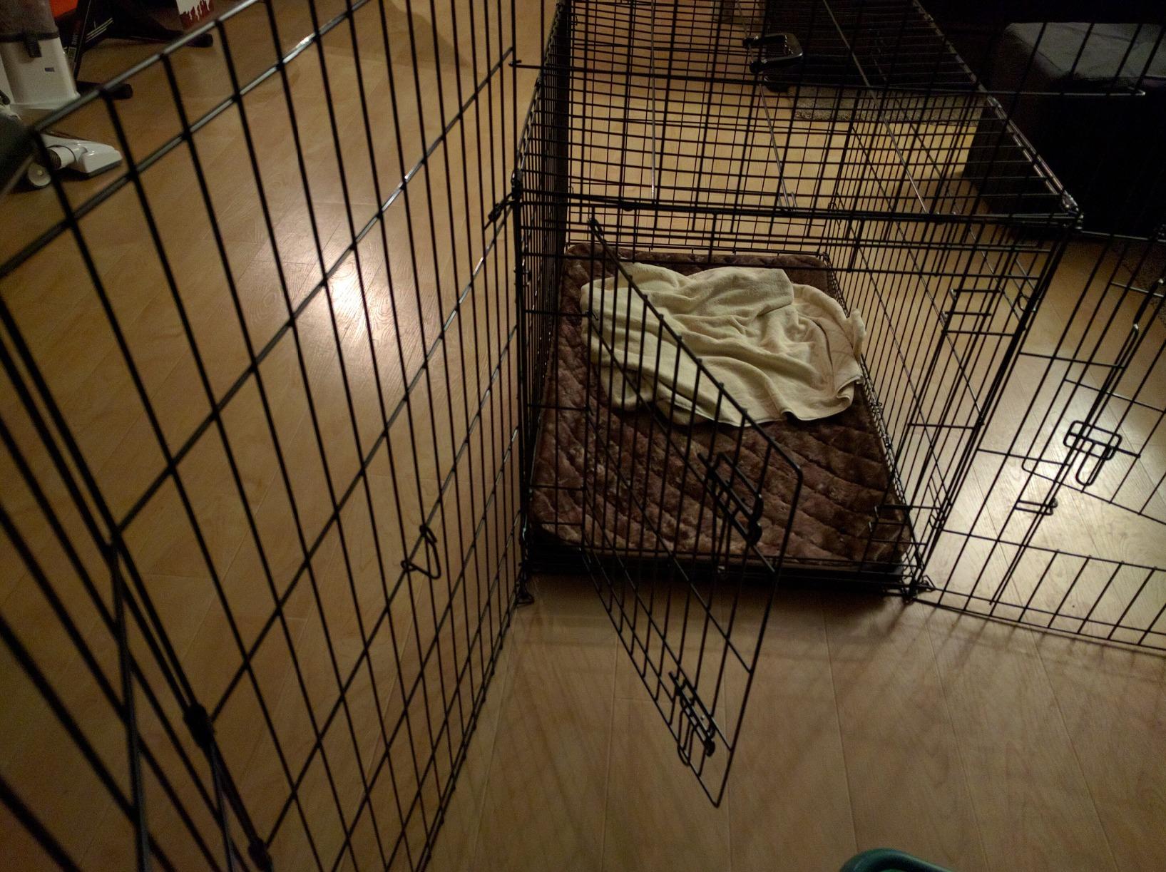 MidWest 42-Inch Exercise Pen, for Indoor and Outdoor Use, 16 Sq Feet of Play, Single Door Folding Dog Pen, with Large Door Opening & Secure Latch, Easy to Set Up, Foldable Dog Playpen customer photo 2
