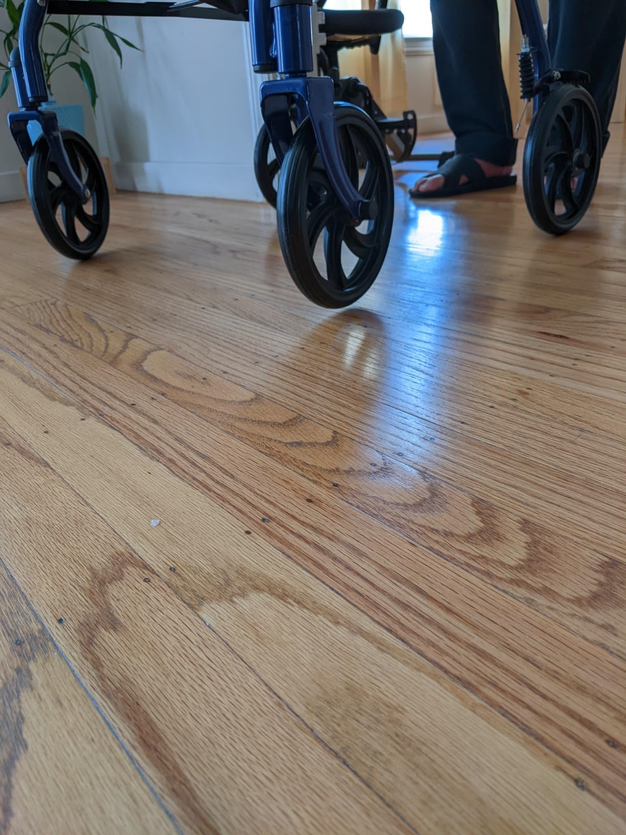 Drive Medical Rollator Walker with Seat, 7.5 Inch Wheels, Red | Rollator Walker Offers Stable, Height Adjustable Mobility Support with Durable Steel Frame and Wheels customer photo 2