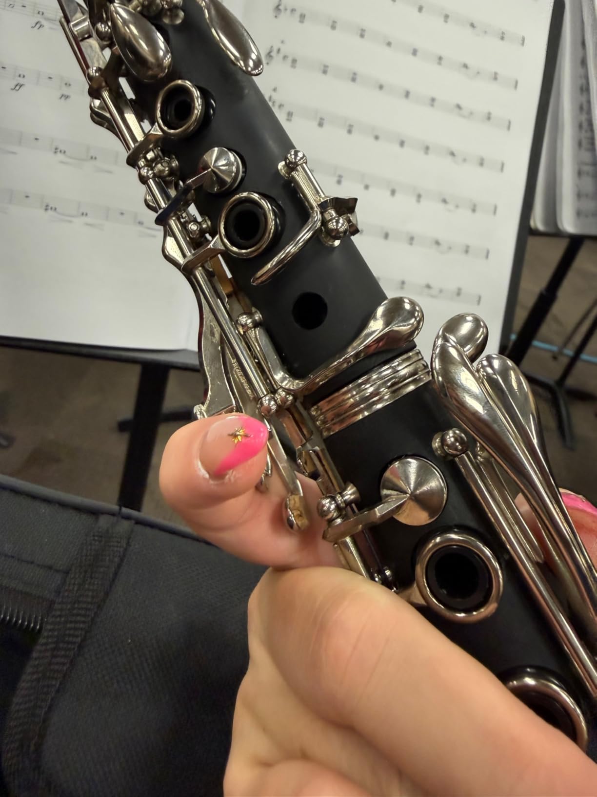 Jean Paul USA CL-300 Student Clarinet B Flat customer photo 2