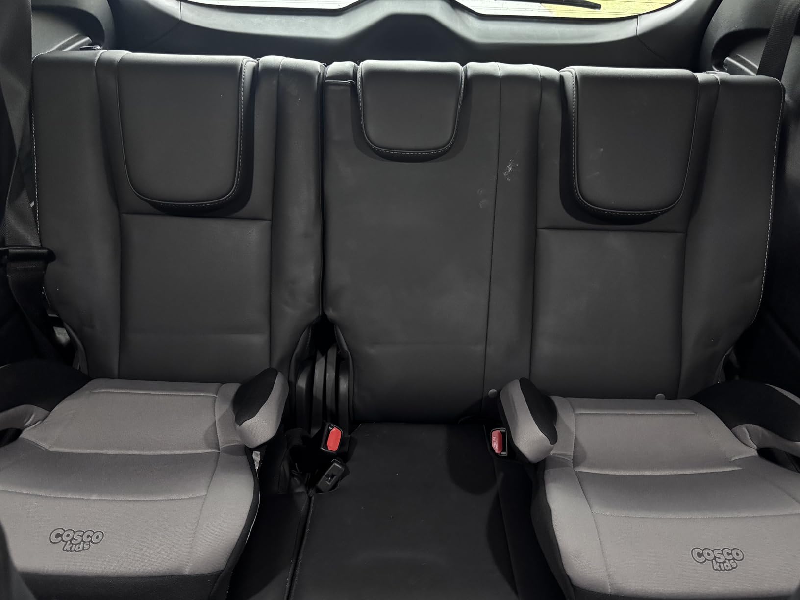 Cosco Topside Backless Booster Car Seat, Lightweight Booster Seat for Cars 40-100 lbs, Leo customer photo 2