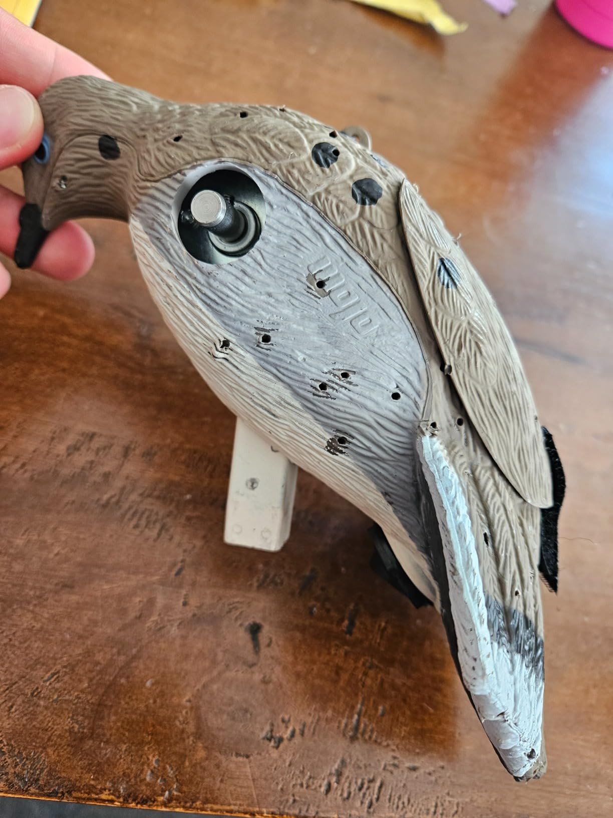 MOJO Outdoors Voodoo Dove Spinning Wing Decoy - Motorized Dove Decoy with Lifelike Body, Magnetic Wings, Steel Support Pole & 16-Hour Battery Life customer photo 1