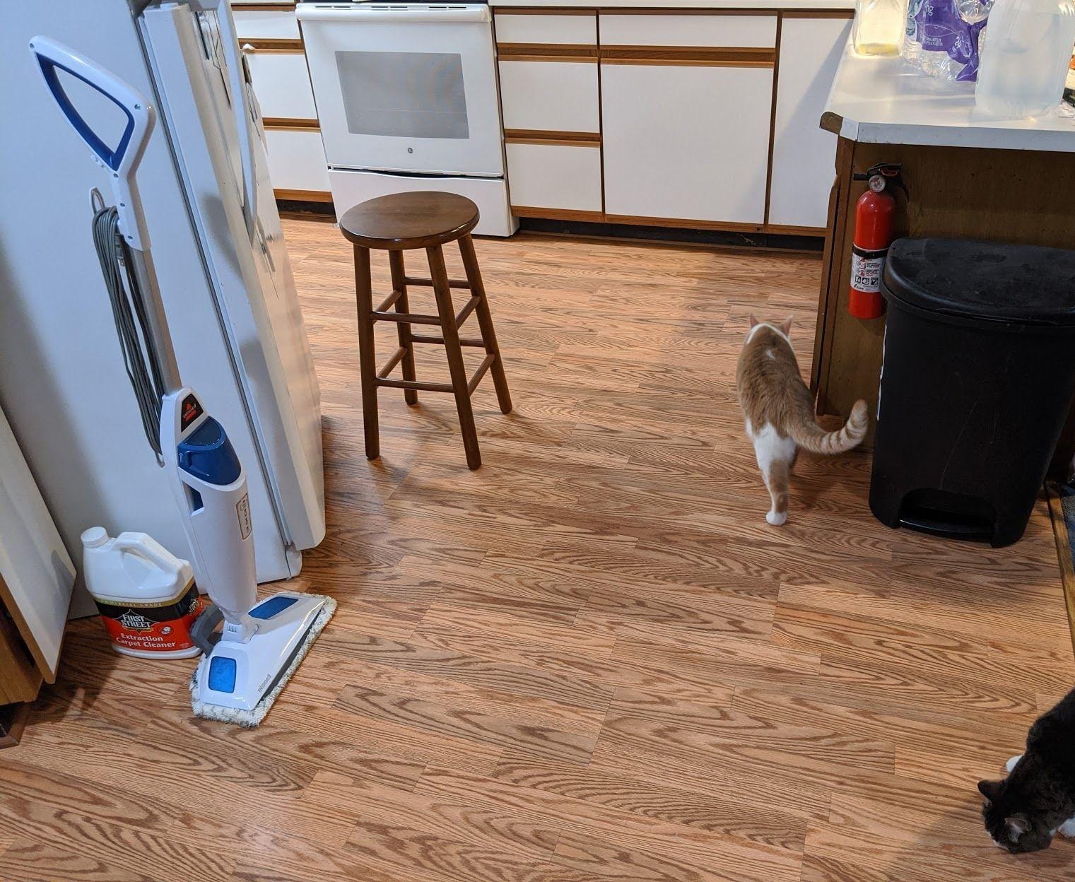 BISSELL Steam Mop 1940A PowerFresh Floor Steam Cleaner for Hard Wood & Tile customer photo 2