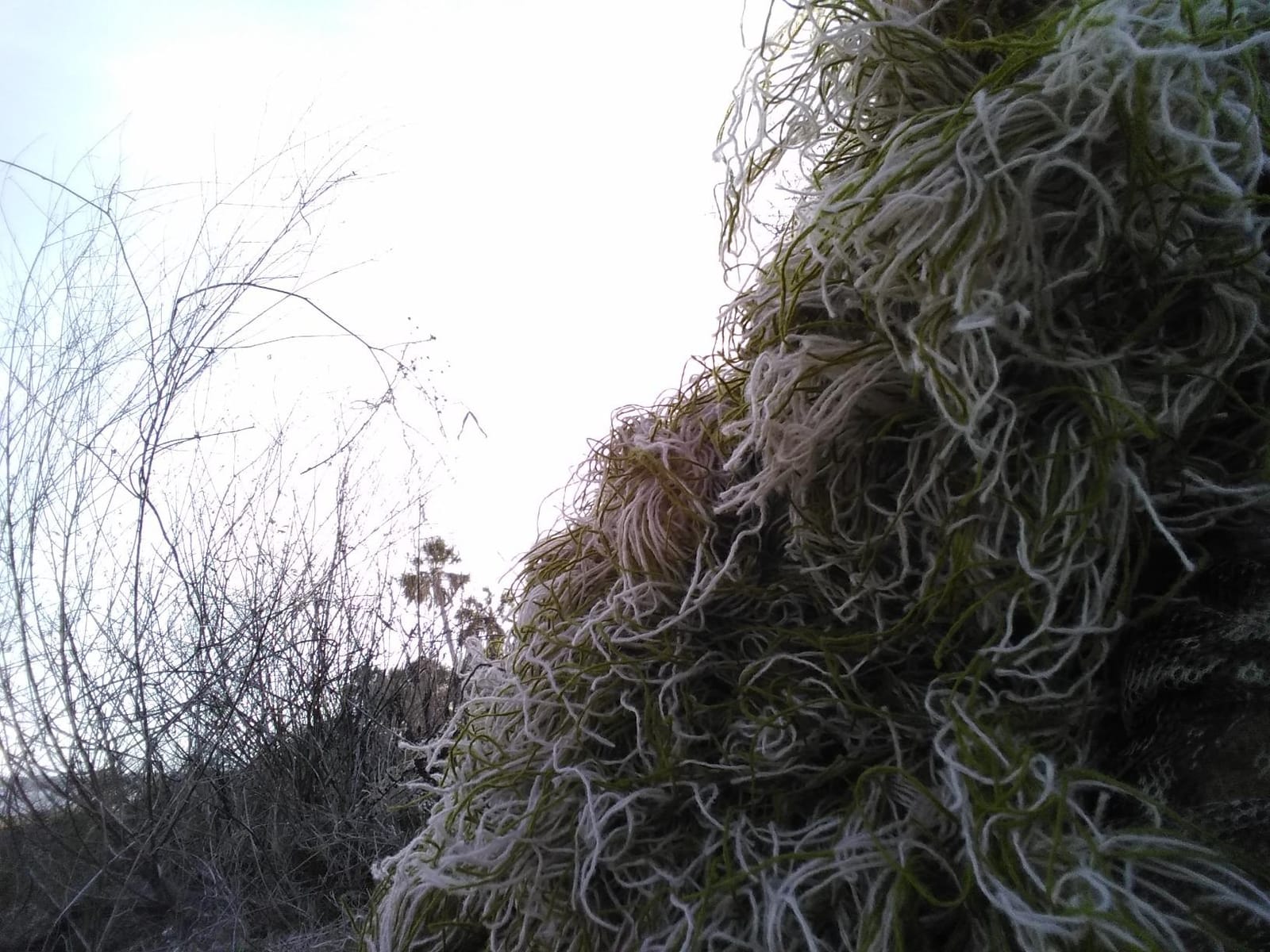 Arcturus Ghost Ghillie Suit | Ultra-Dense Design | Superior Camo Coverage for Hunters, Military, Snipers, Airsoft & Paintball customer photo 1