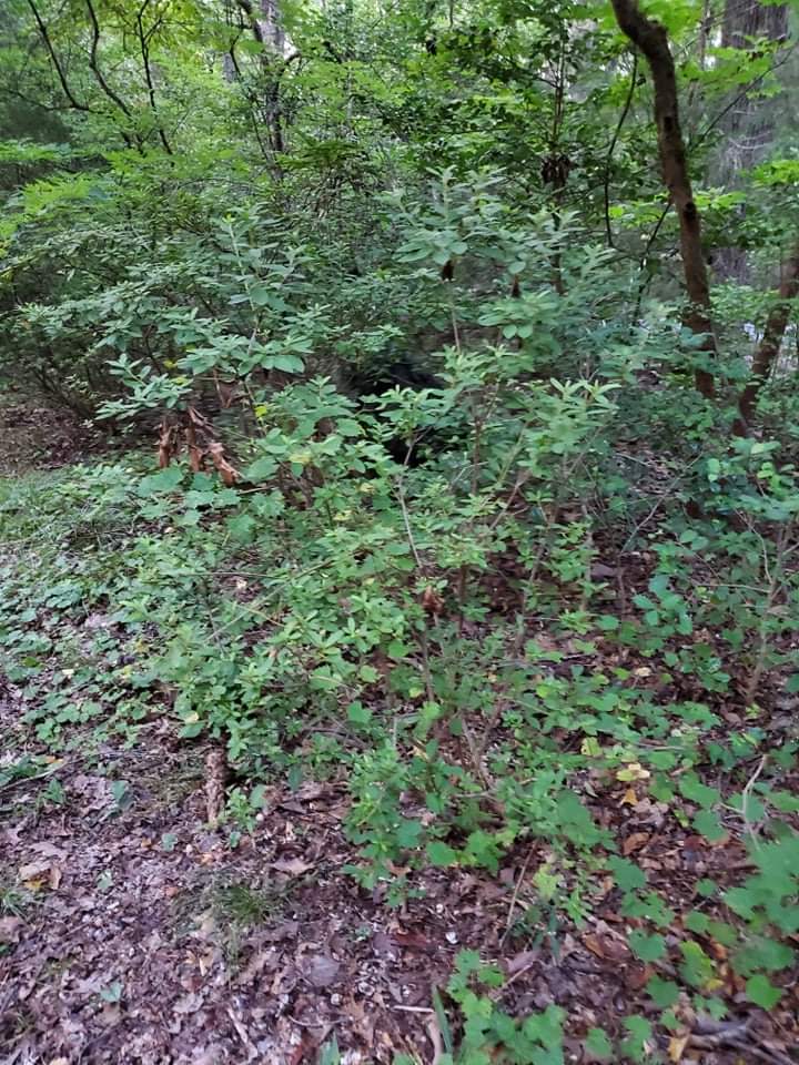 Arcturus Ghost Ghillie Suit | Ultra-Dense Design | Superior Camo Coverage for Hunters, Military, Snipers, Airsoft & Paintball customer photo 2
