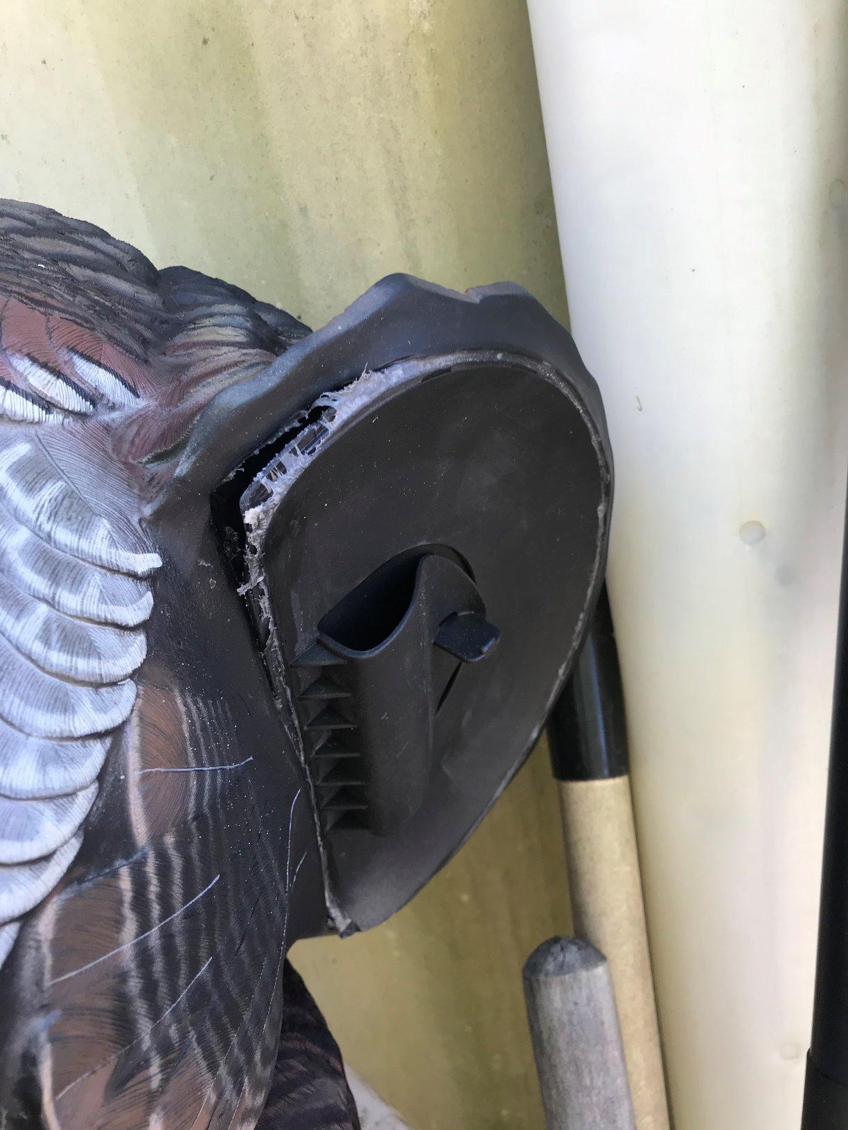 Avian-X LCD Strutter Turkey Decoy with Carry Bag & Stake, AVX8004 customer photo 2