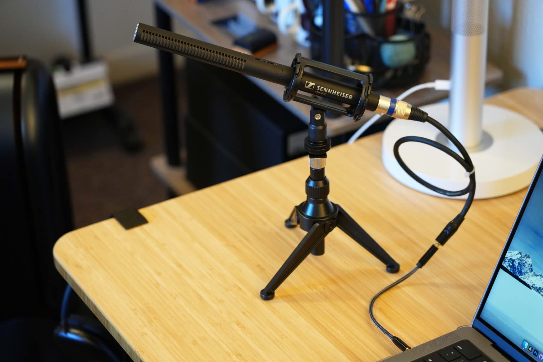 Sennheiser Pro Audio MKE600 Shotgun Microphone with XLR-3M and low-cut filter for camcorders, video DSLRs and outdoor recording customer photo 2