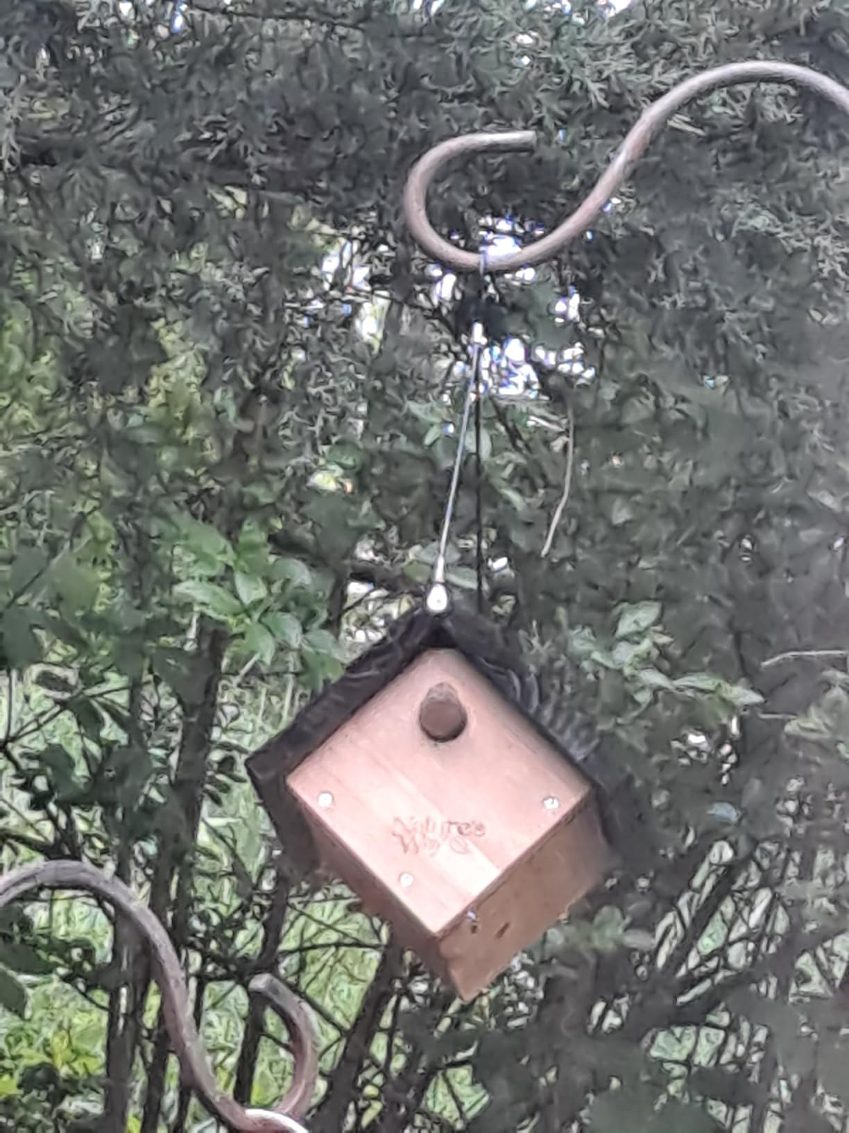 Nature's Way Bird Products CWH1 Cedar Wren House, 8