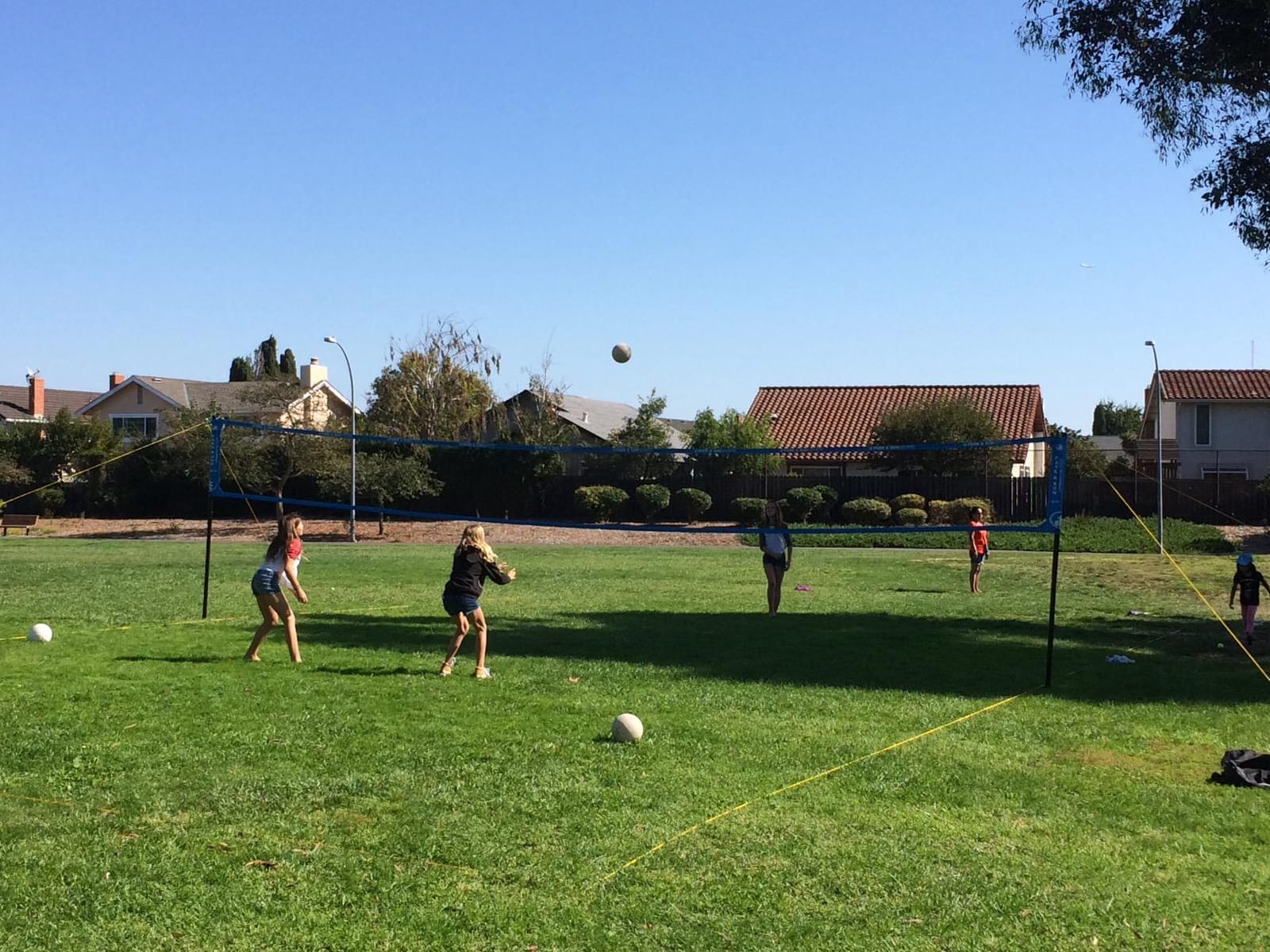 Park & Sun Sports Tournament Flex 1000: Portable Outdoor Volleyball Net System customer photo 2