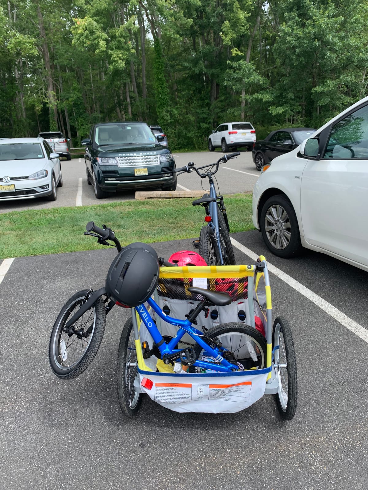 Schwinn Echo Child Bike Trailer, Max of 2 Children with Total Weight of 80 lbs., Canopy, 20-Inch Air-Filled Tires, Yellow/Grey customer photo 1