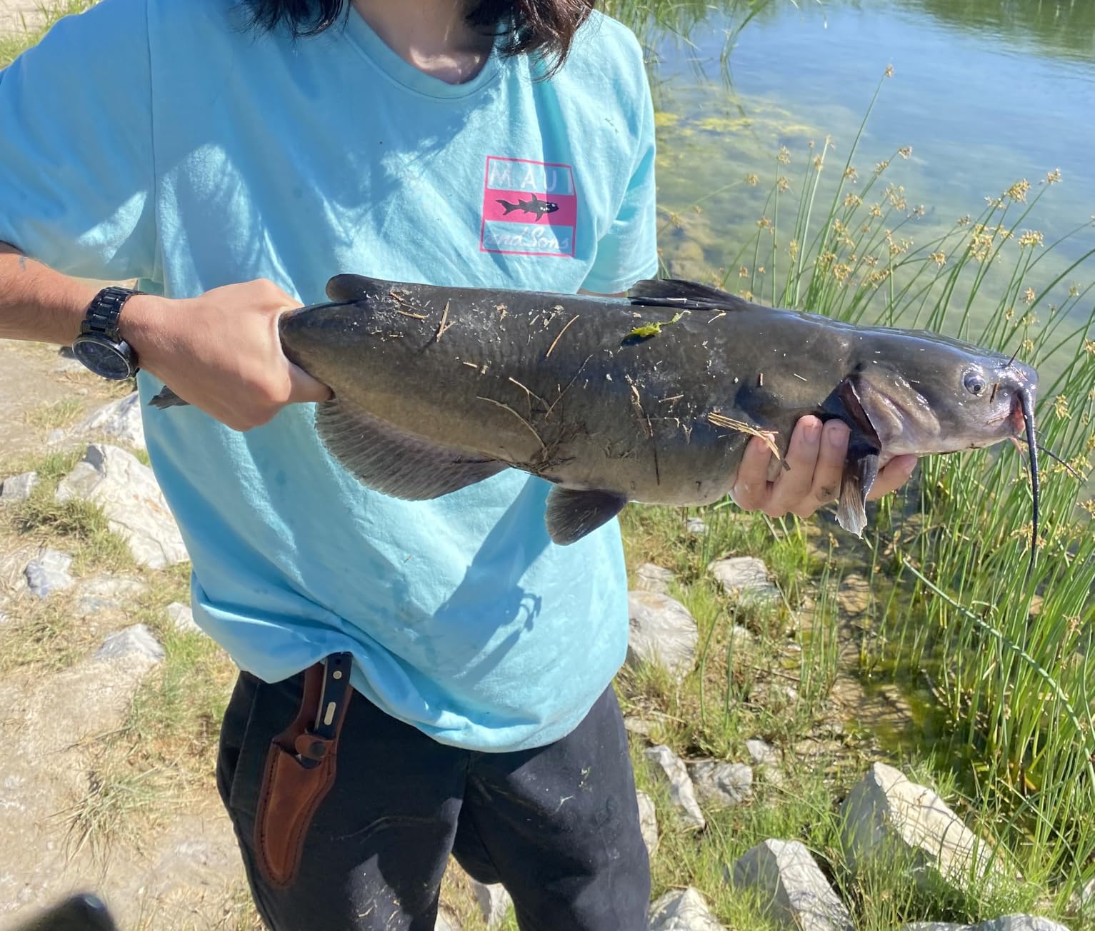 Abu Garcia Ambassadeur SX Baitcast Reel customer photo 2