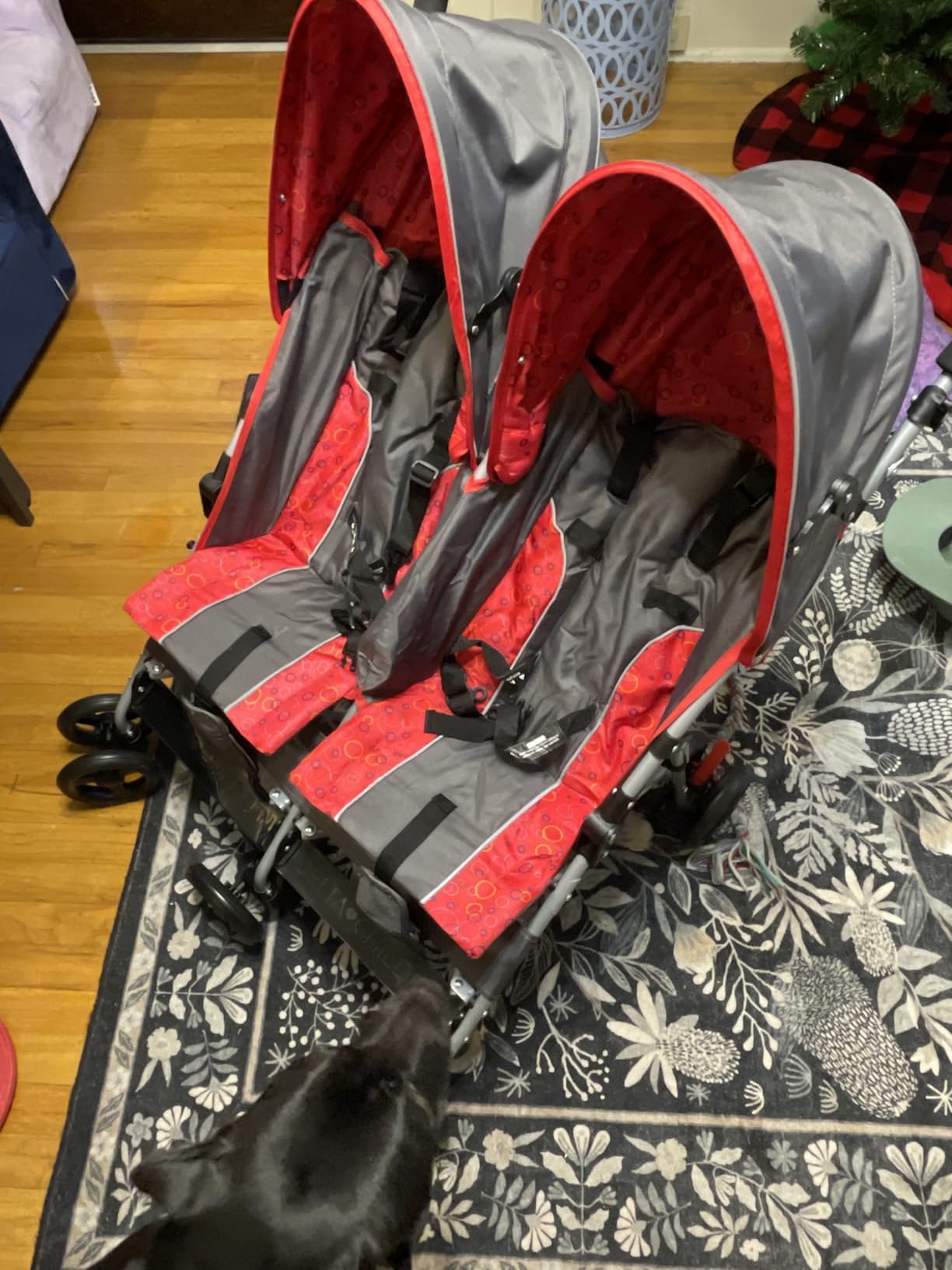 Delta Children LX Side by Side Stroller - with Recline, Storage & Compact Fold, Night Sky customer photo 2