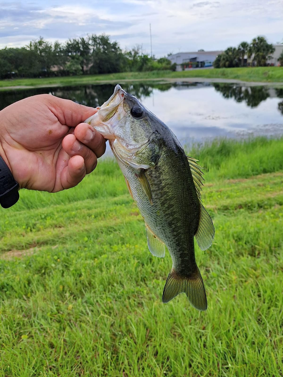 Yo-Zuri 3DB Prop Floating Lure, Prism Shad, 3 1/2-Inch customer photo 2