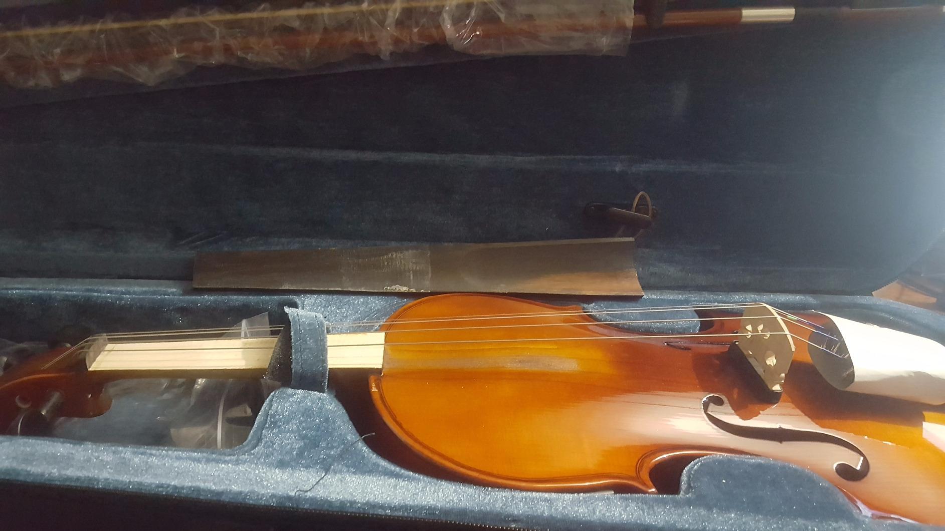 Cecilio 4/4 Full Size Acoustic & Electric Violin for Beginners & Professionals, Hand-Carved Solid Spruce Top, Ebony Fine Tuners, Full Set with Case, Bow, Rosin & AUX Cable (Pearl White) customer photo 1