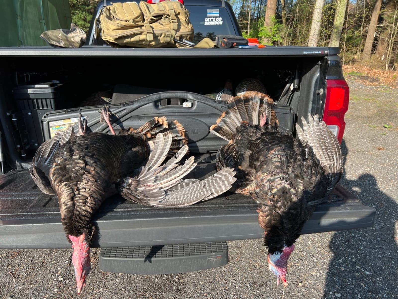 AVIAN-X LCD Feeder Hen Turkey Decoy with Carry Bag & Stake, AVX8007 customer photo 2