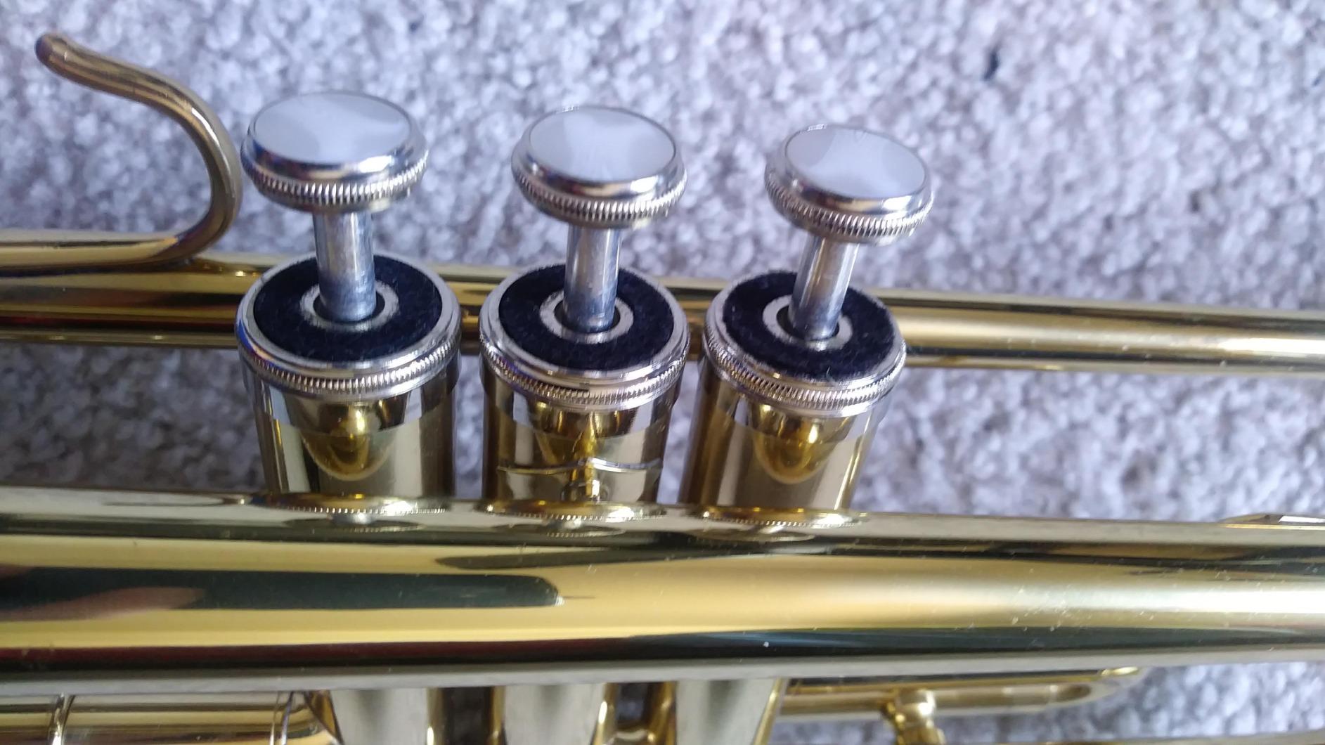 Mendini By Cecilio Bb Standard Trumpet Set for Beginners - Brass Trumpet Instrument with Hard Case, 7C Mouthpiece, Valve Oil, Cleaning Cloth, Maintenance kit and Gloves (Gold) customer photo 1