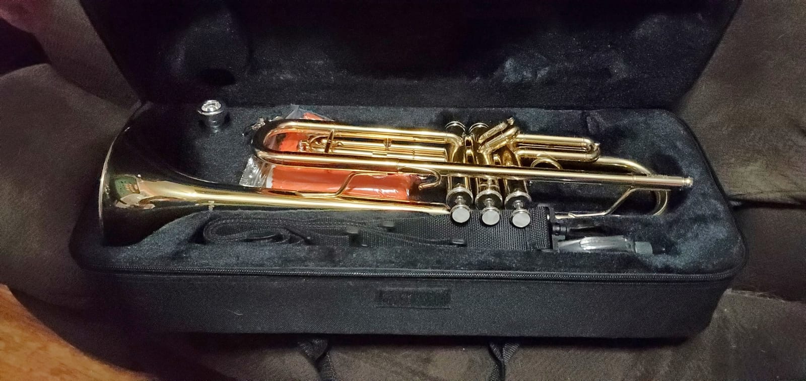 Mendini By Cecilio Bb Standard Trumpet Set for Beginners - Brass Trumpet Instrument with Hard Case, 7C Mouthpiece, Valve Oil, Cleaning Cloth, Maintenance kit and Gloves (Gold) customer photo 2