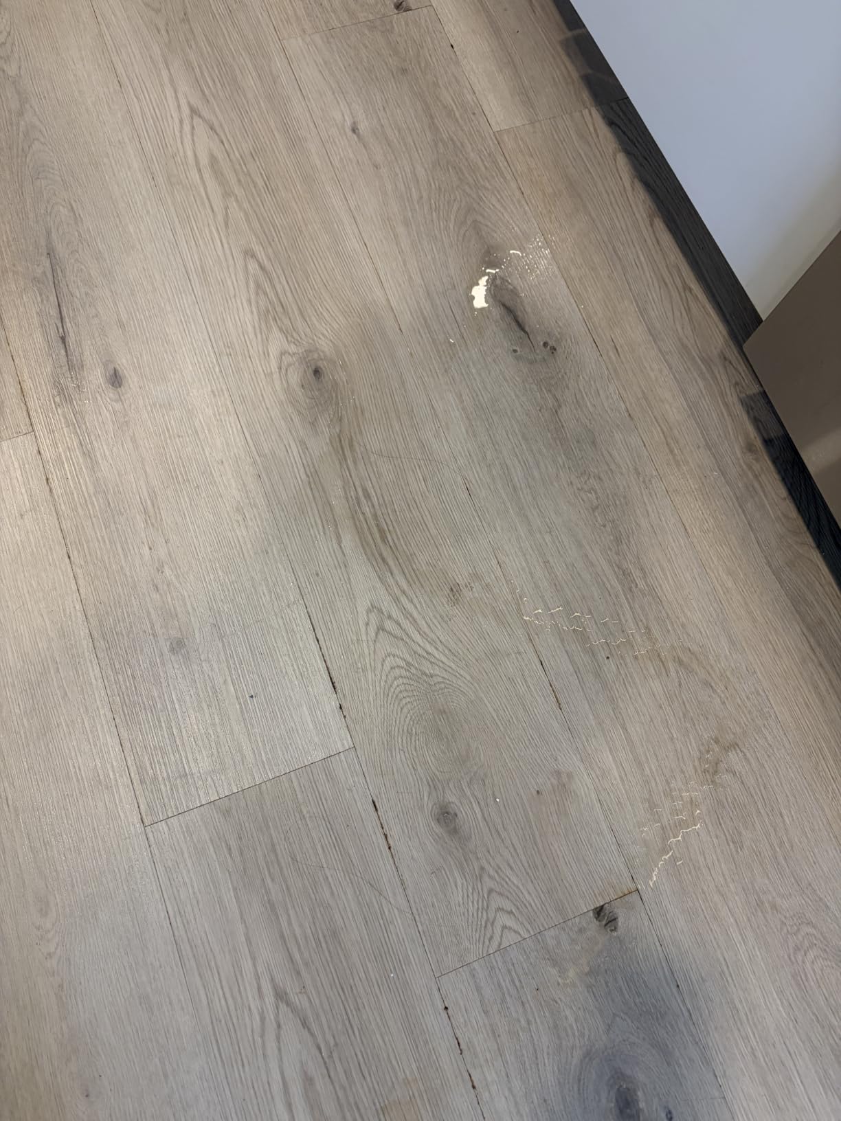 method Hardwood Floor Cleaner, Squirt + Mop Design, Almond, 25 fl oz customer photo 1