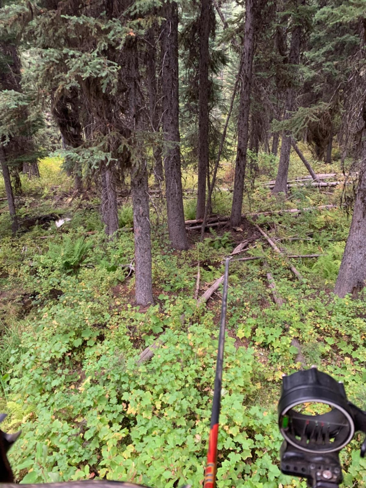 Summit Treestands Viper SD Climbing Treestand, Choose Camo customer photo 2