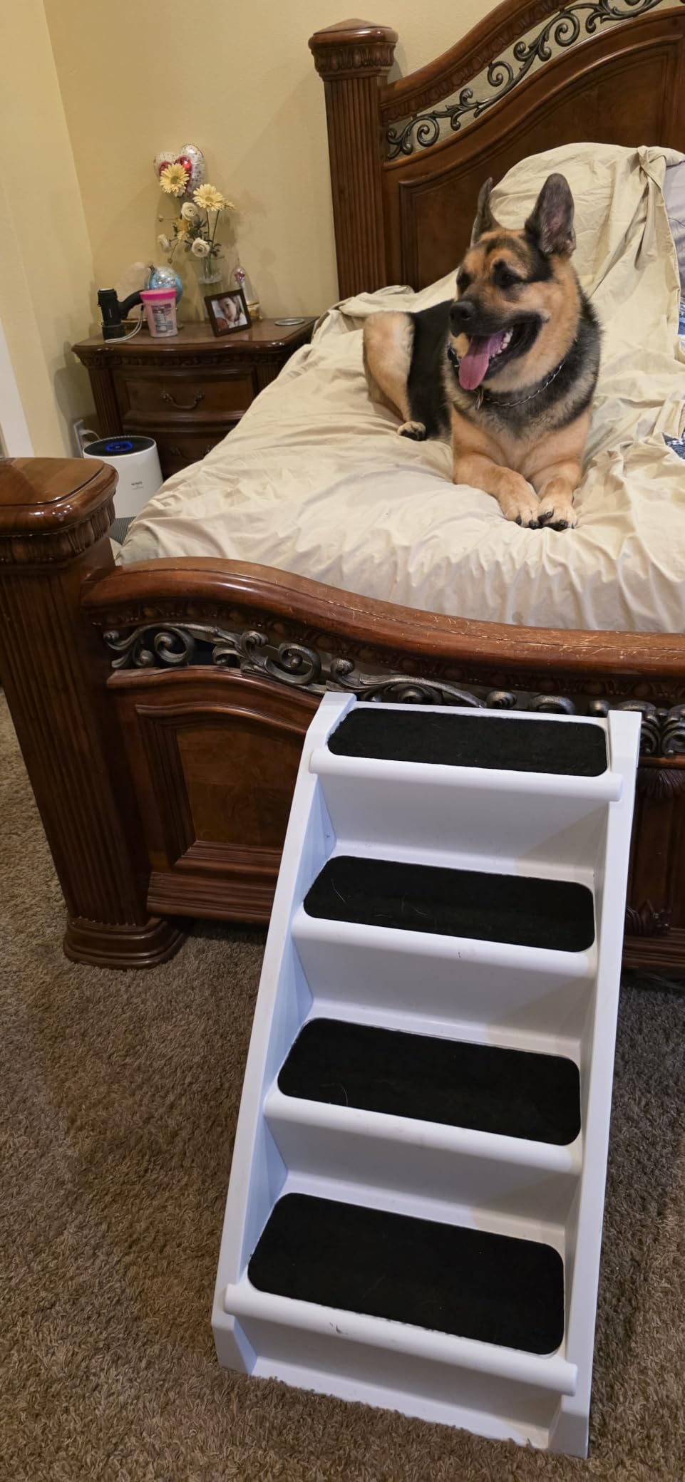 PetSafe CozyUp Folding Dog Stairs - Pet Stairs for Indoor/Outdoor at Home or Travel - Dog Steps for High Beds, Sofa with Siderails, Non-Slip Pads - Durable, Support up to 200 lbs - Extra Large, Tan customer photo 1