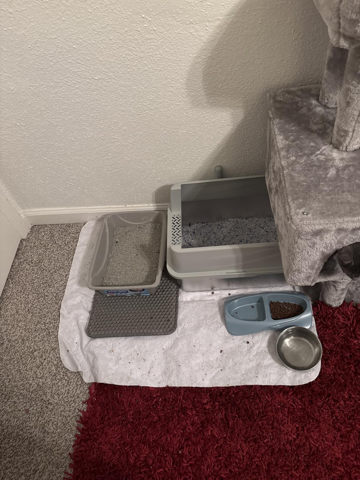 Petmate Open Cat Litter Box, Blue Mesa/Mouse Grey, M (Pack of 1), Made in USA customer photo 1