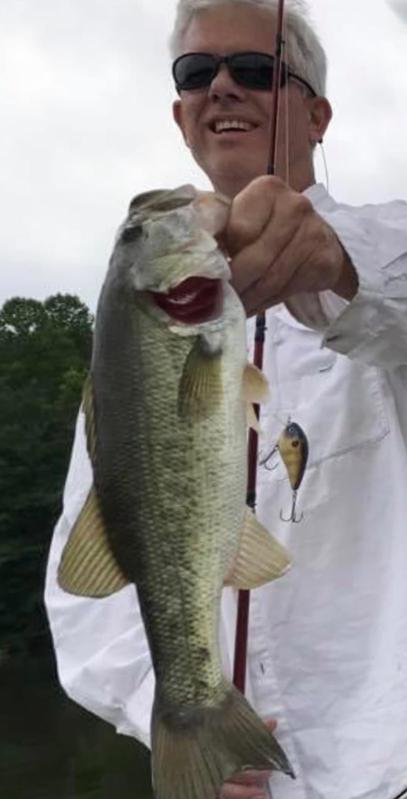 Strike King KVD 1.5 Shallow Square Bill Crankbait customer photo 1