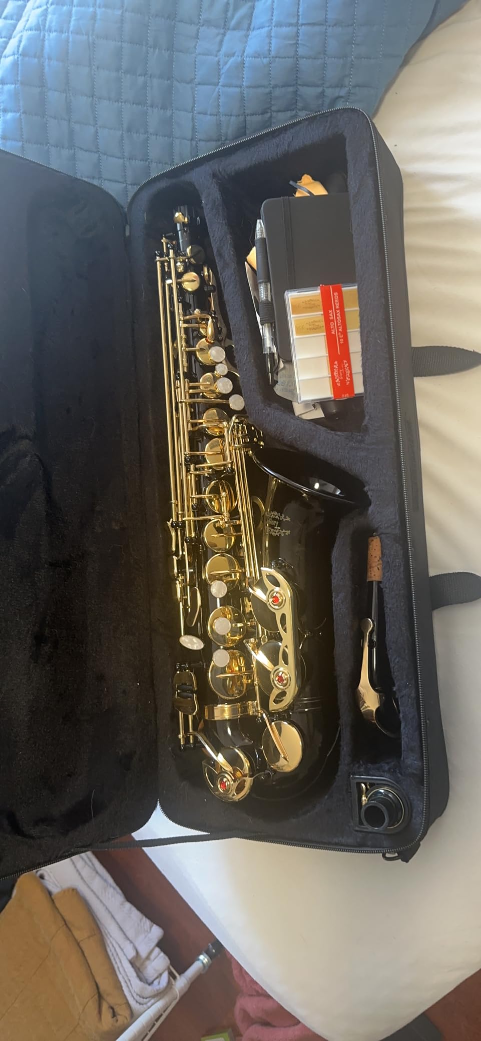 Glory Gold Laquer E Flat Alto Saxophone with 11reeds,8 Pads cushions,case,carekit customer photo 1