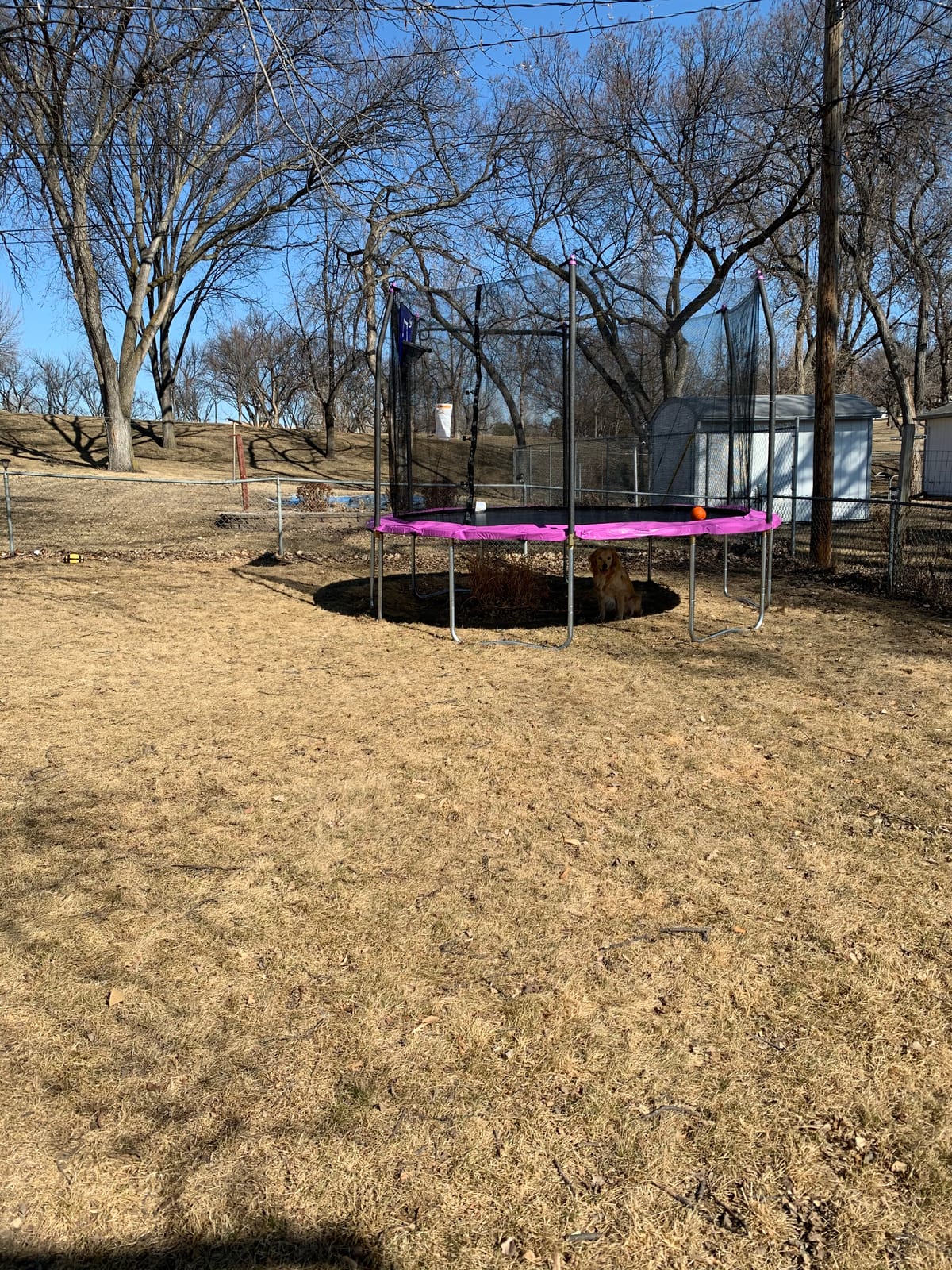 Skywalker Trampoline Outdoor 8 FT, 12 FT, 15 FT Jump N' Dunk Round Outdoor Trampoline with Net, Trampoline Mat, and Basketball Hoop for Trampoline customer photo 2