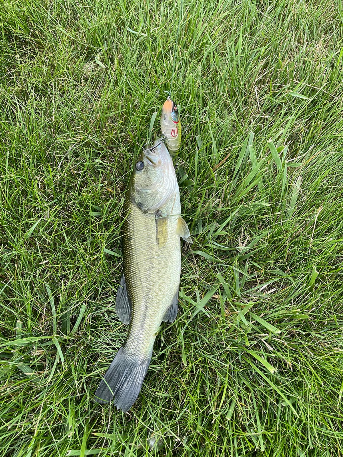 River2Sea River 2 Sea Wpl 90 Whopper Plopper customer photo 1