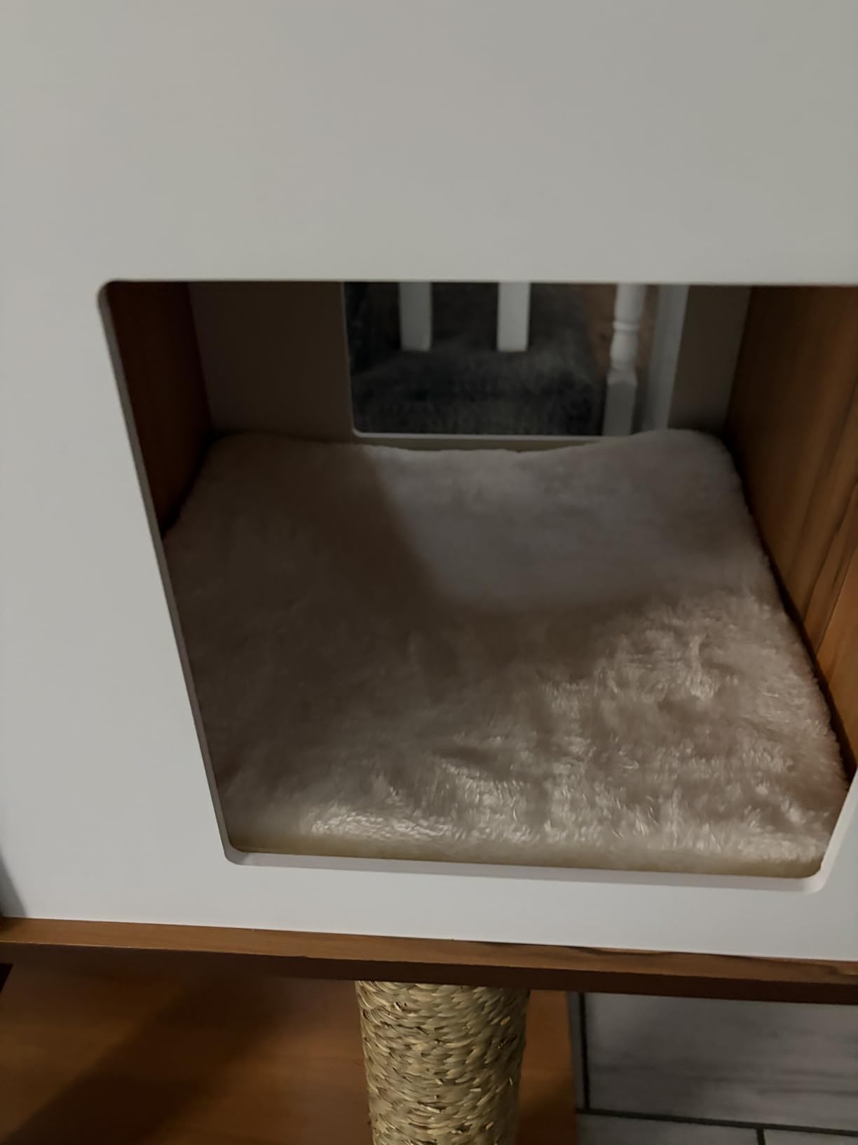 Vesper Cat Tree, High Base, Walnut - Modern Wooden Cat Tower with Scratching Posts customer photo 1