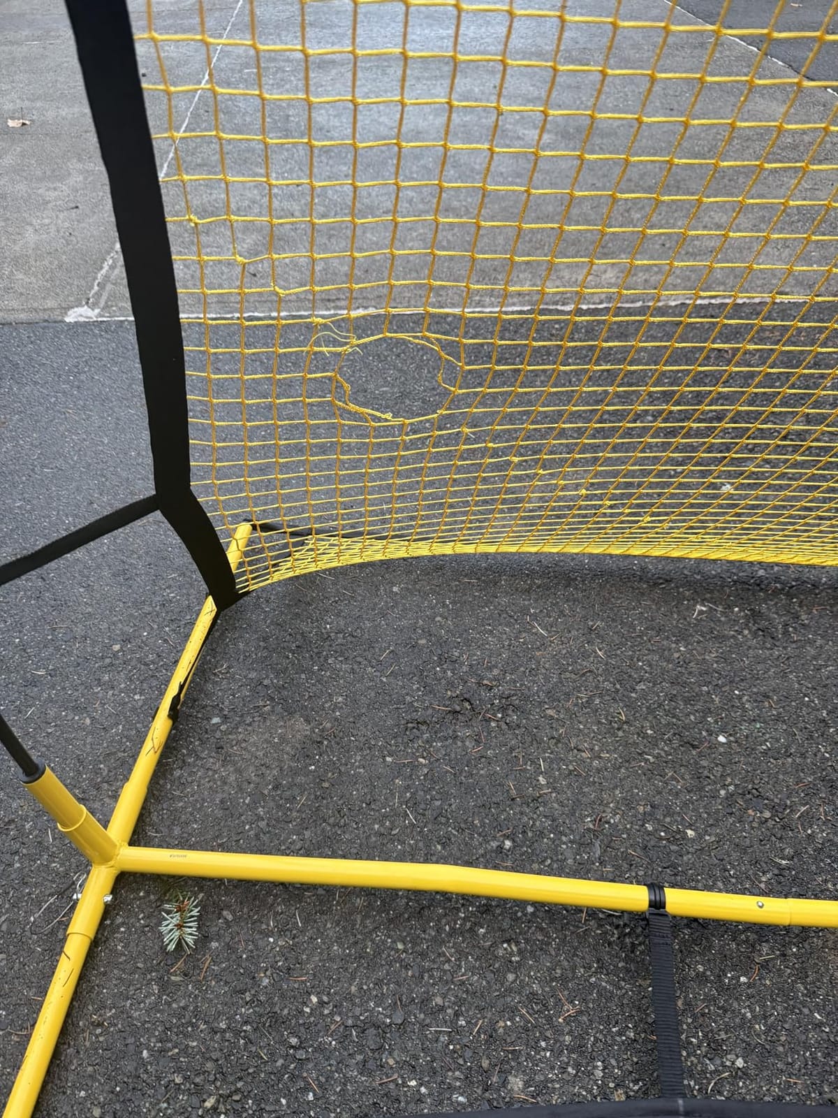 SKLZ Quickster Soccer Trainer - Dual-Sided Rebounder for Solo Passing, Receiving, Trapping Practice - Large & Small Rebound Net - Weather Resistant - Adjustable Frame, Metal Stakes & Carry Bag customer photo 2