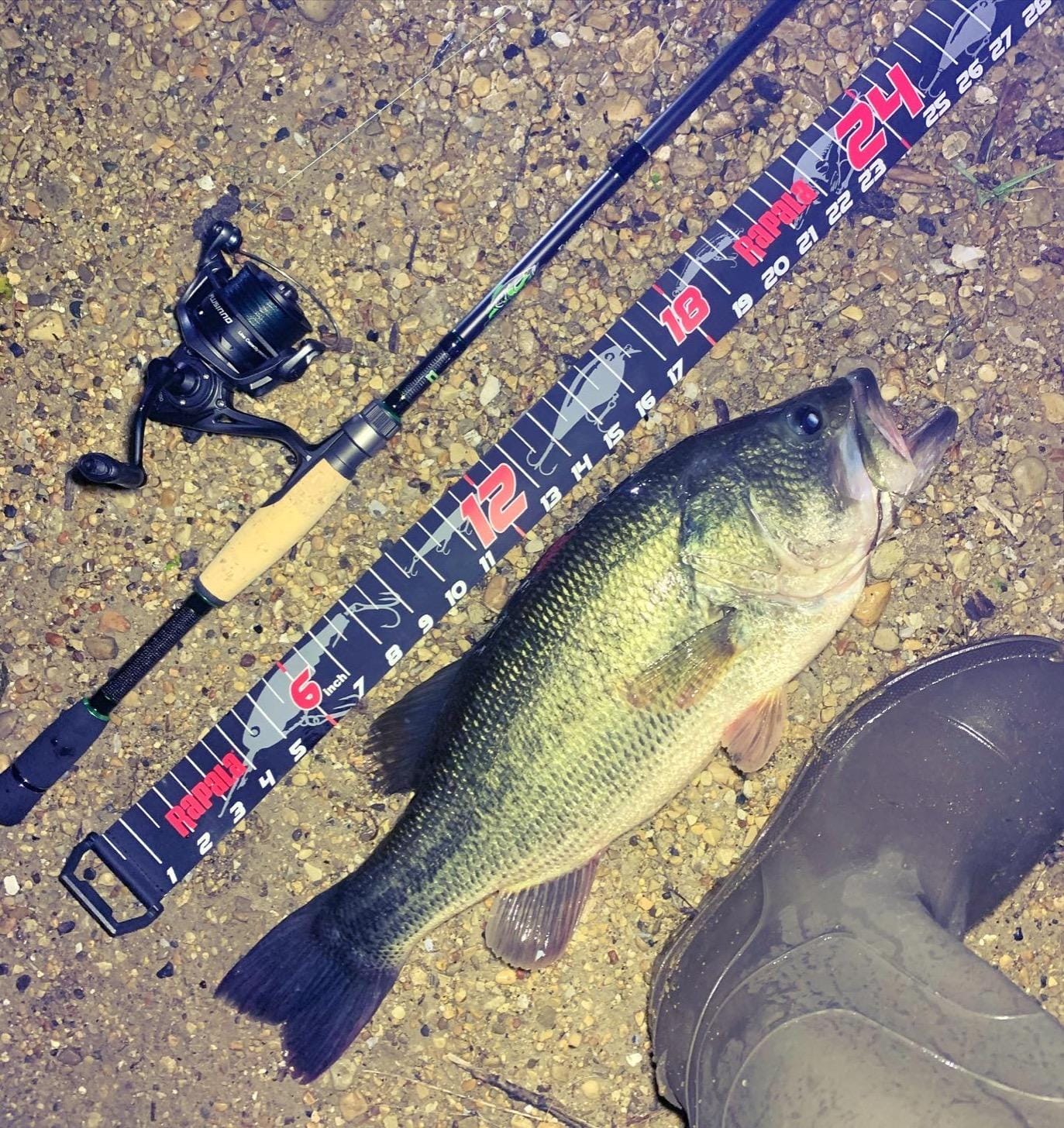 Dobyns Rods Fury Series Spinning Rod customer photo 2