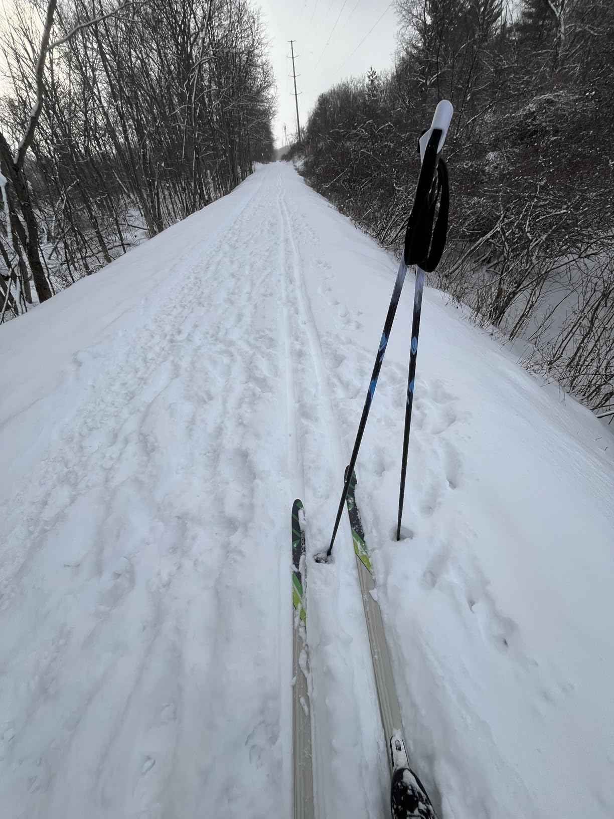 Whitewoods Adult NNN Cross Country Ski Package; Boots, Bindings, Poles, Skis 207cm (for Skiers 180 lbs. & Up) customer photo 1