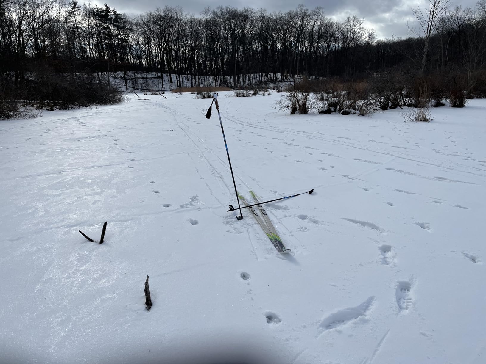 Whitewoods Adult NNN Cross Country Ski Package; Boots, Bindings, Poles, Skis 207cm (for Skiers 180 lbs. & Up) customer photo 2