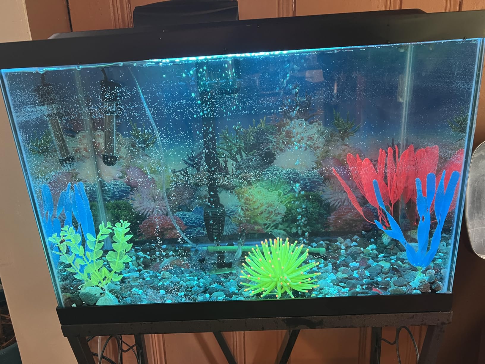 Tetra Aquarium, 20 Gallon, Complete Tropical Fish Tank Kit With LED Lighting And Decor For Freshwater Fish customer photo 1