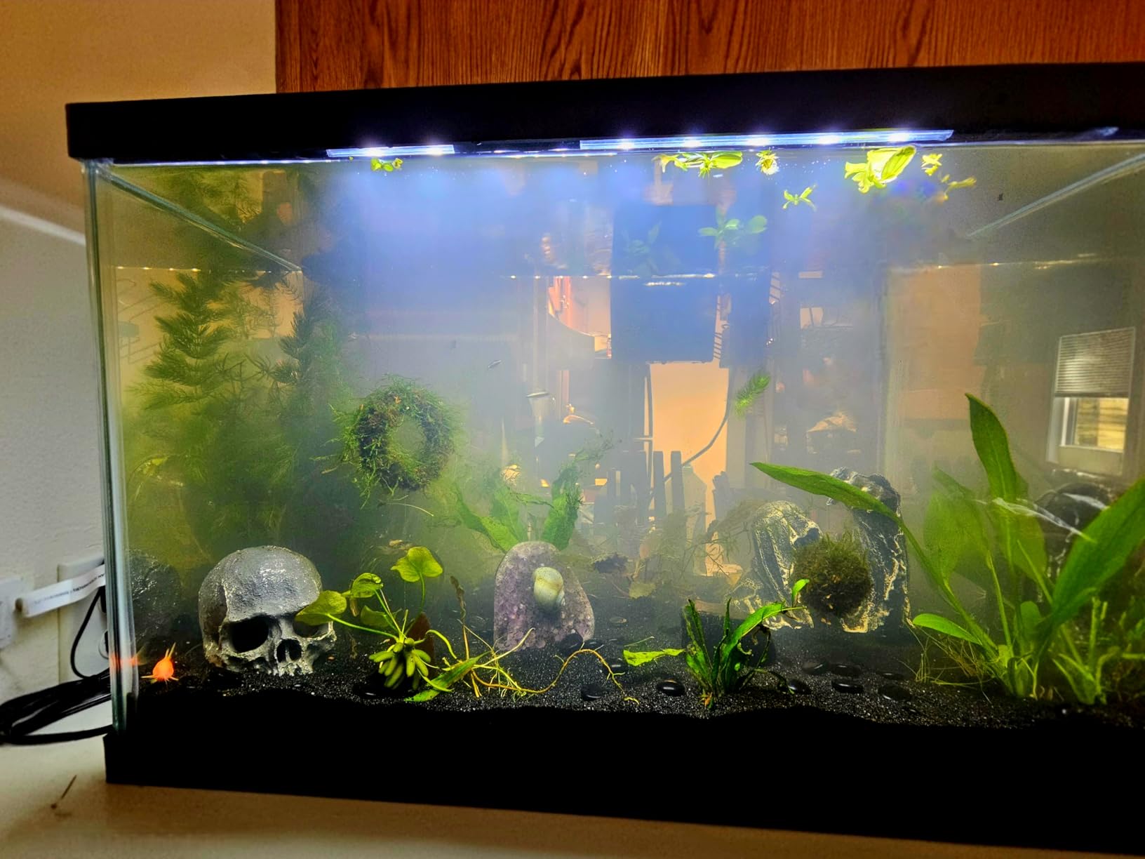 Tetra Aquarium, 20 Gallon, Complete Tropical Fish Tank Kit With LED Lighting And Decor For Freshwater Fish customer photo 2