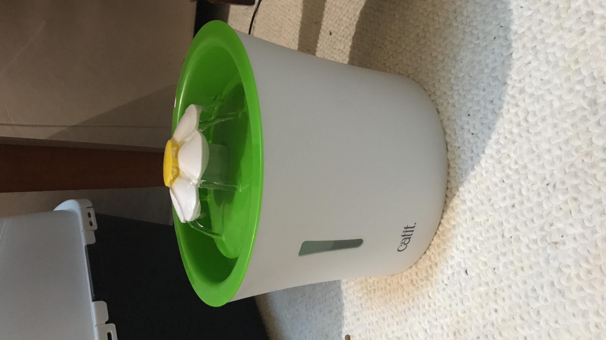 Catit Flower Fountain with Triple Action Filter, Cat Drinking Water Fountain, 3L, Green customer photo 1