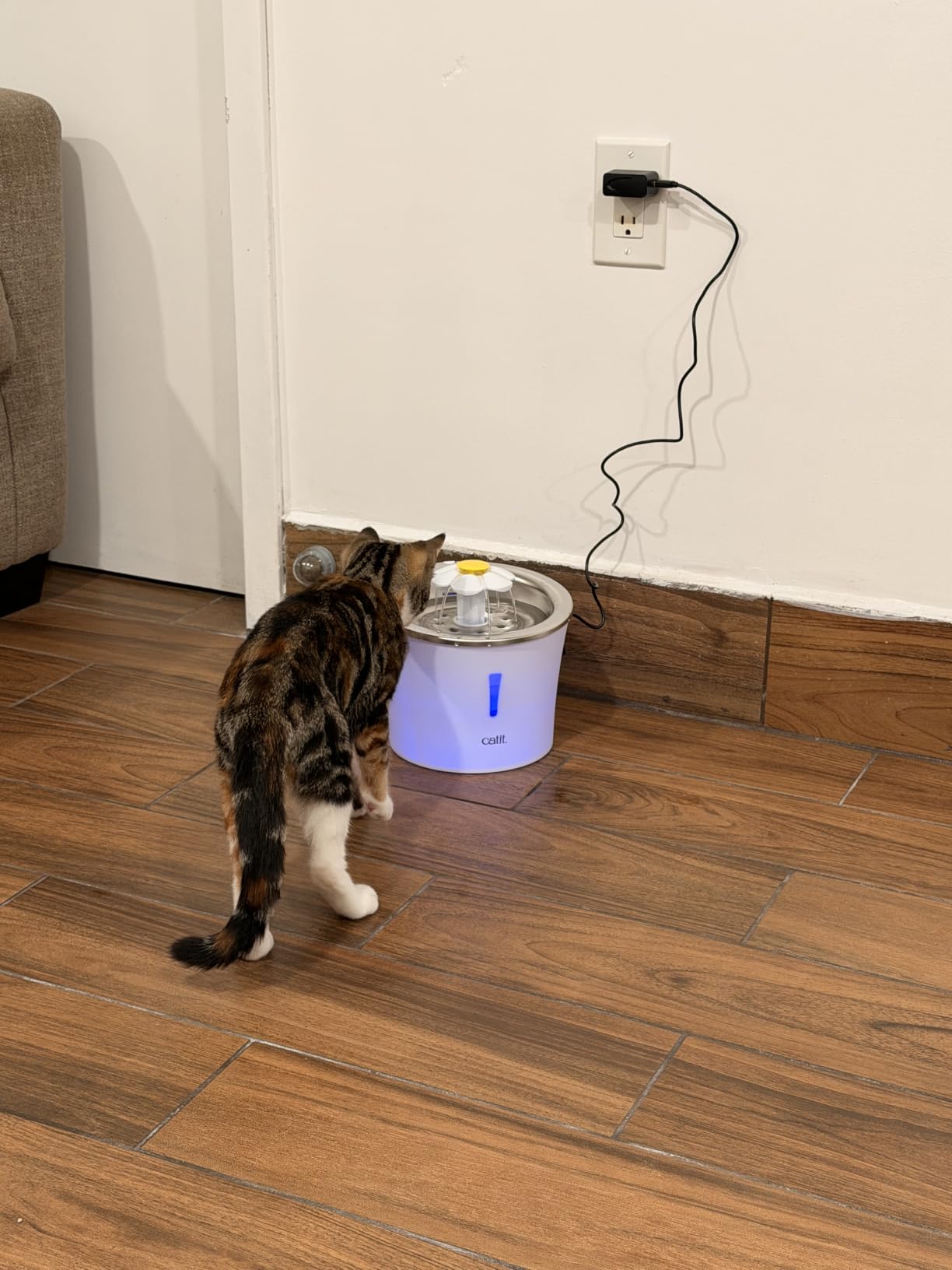 Catit Flower Fountain with Triple Action Filter, Cat Drinking Water Fountain, 3L, Green customer photo 2