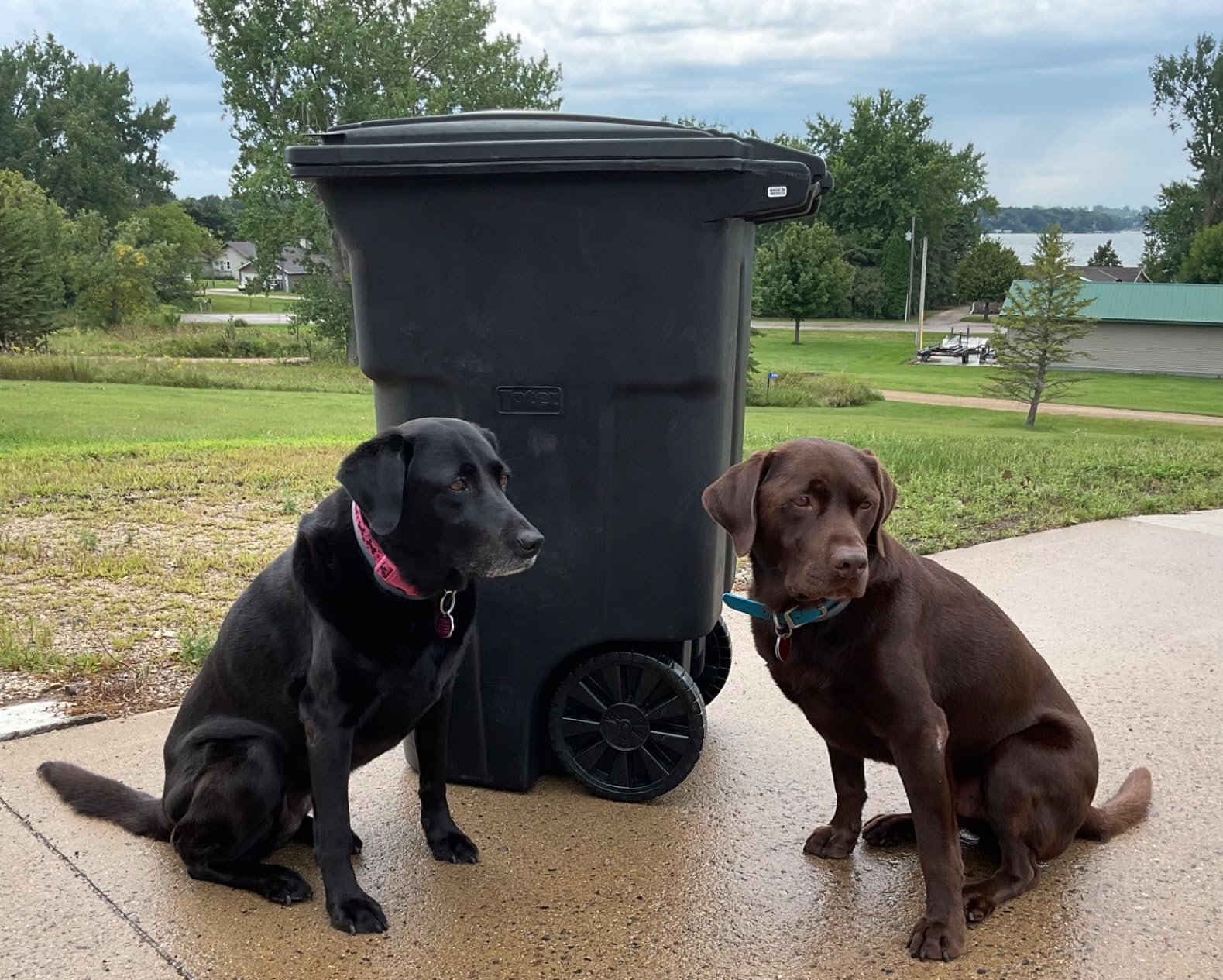 Toter 25564-R1209 Residential Heavy Duty Two Wheeled Trash Can, Blackstone, 64 Gallon customer photo 2