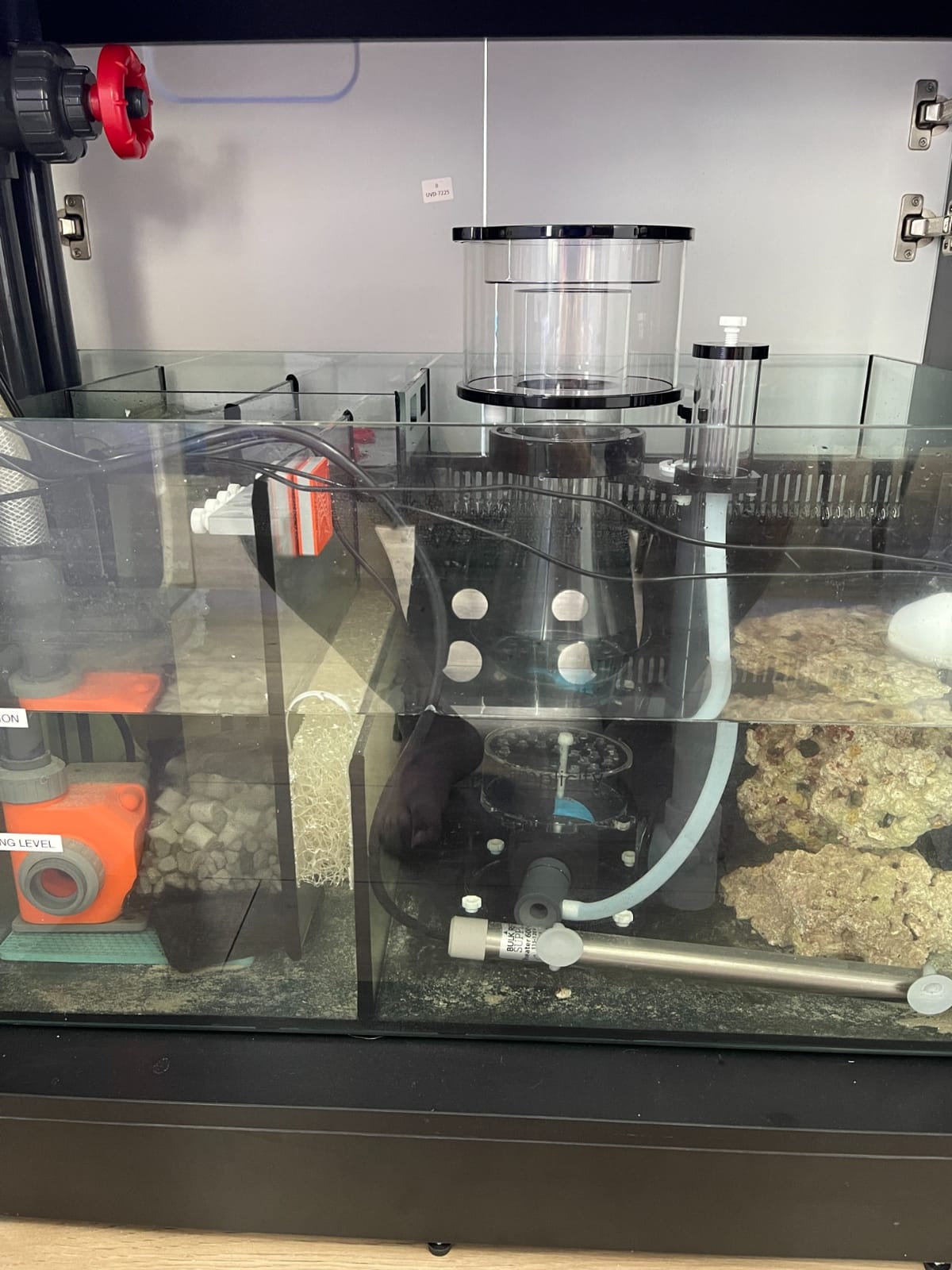 Simplicity 240DC Protein Skimmer for Saltwater Aquariums customer photo 2