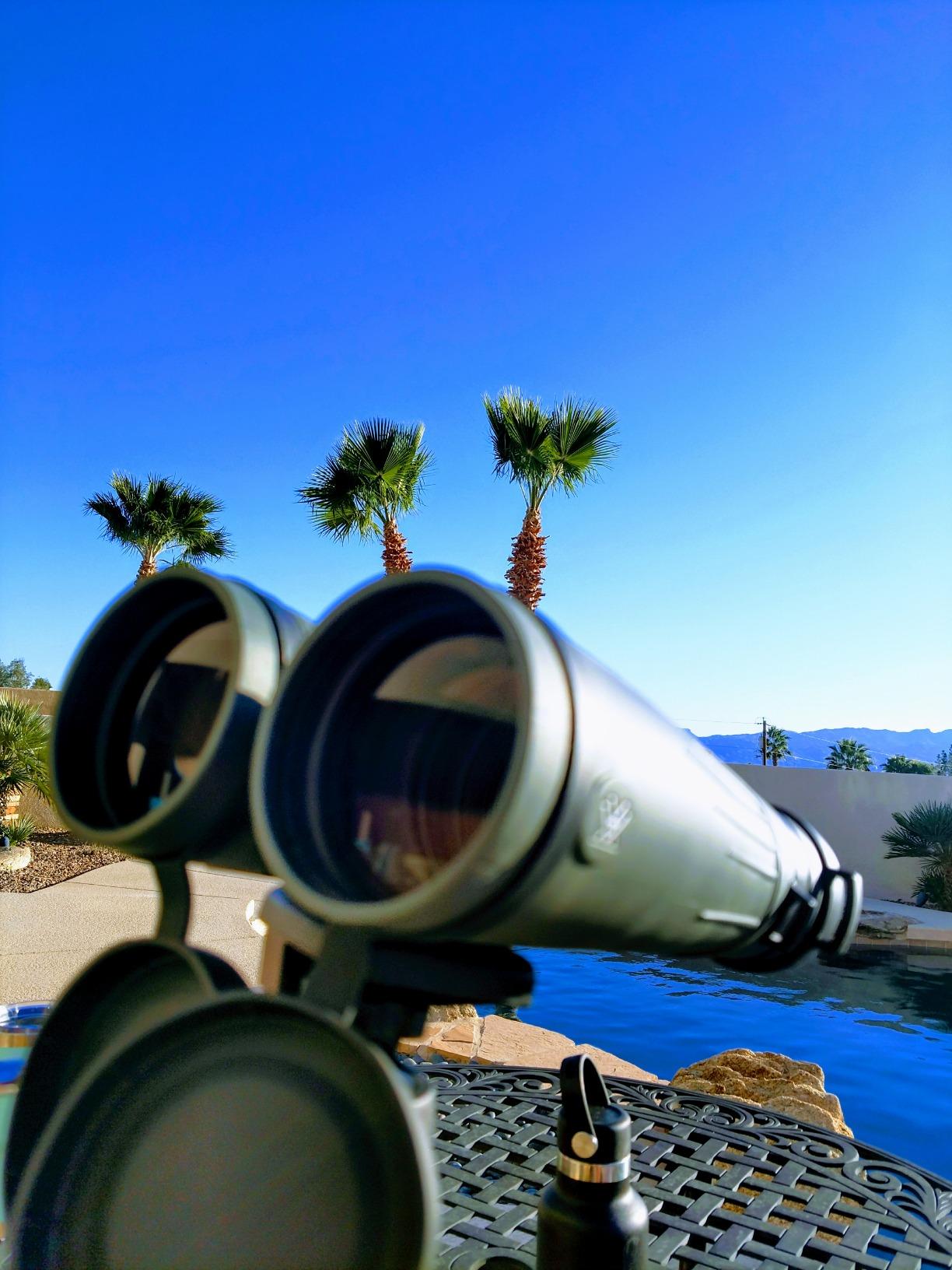 Vortex Optics Diamondback Roof Prism Binoculars 10x42 customer photo 2