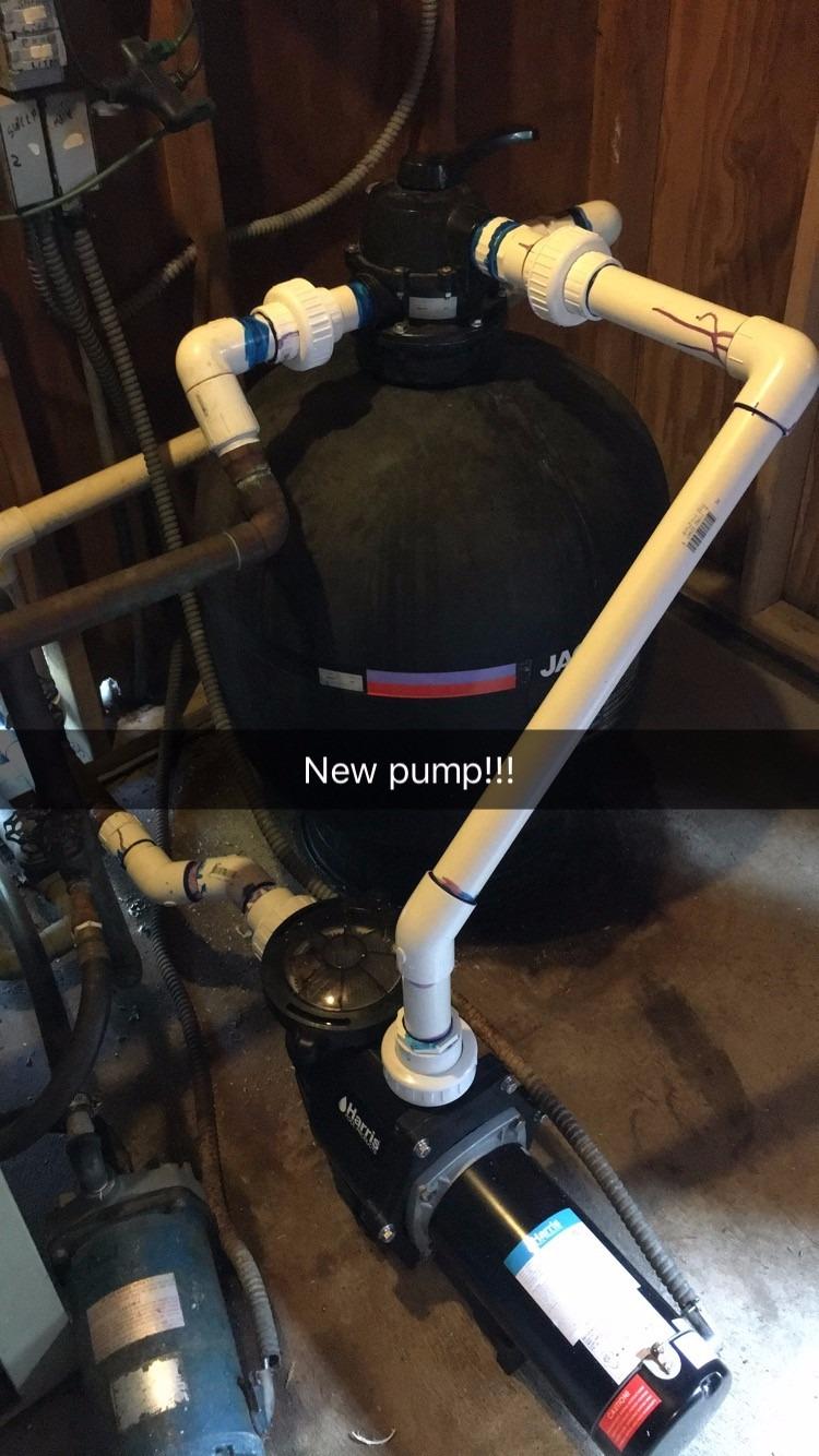 Doheny's Harris ProForce 1.5 HP Inground Pool Pump 220V (1.35 THP) customer photo 1