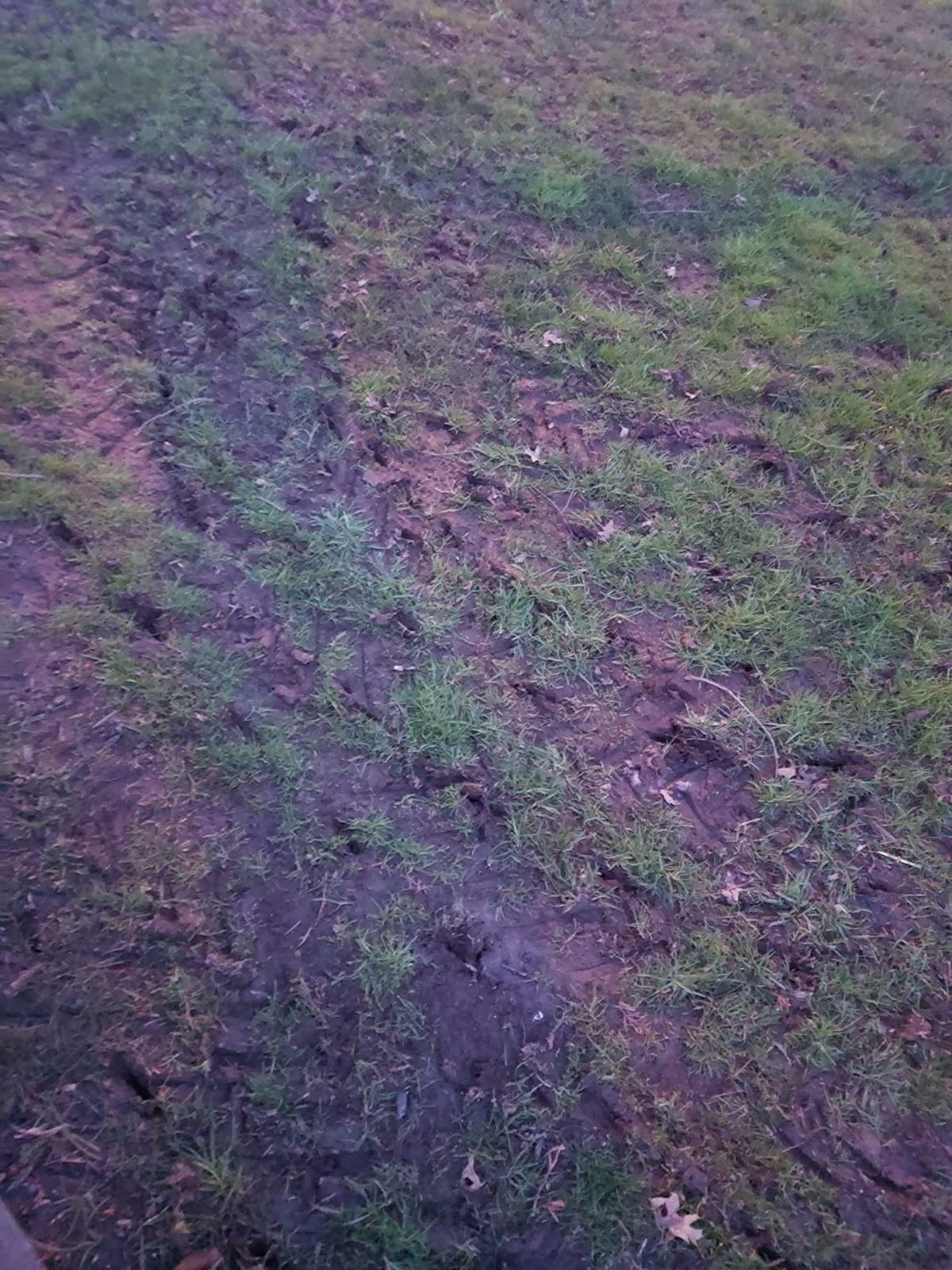 Agri-Fab 40 In Tow Behind Lawn Plug Aerator with 24 Galvanized Coring Knives and Universal Hitch customer photo 1