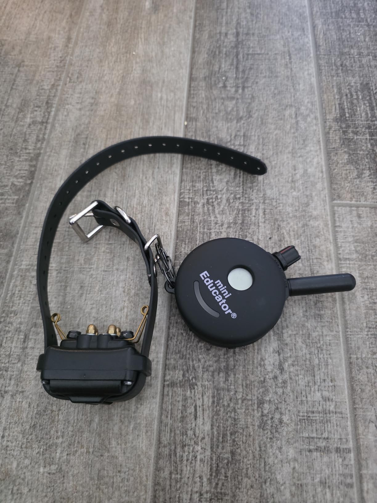 Educator ET-300 Mini E Collar for Dog Training with Remote - 1/2 Mile Range, Waterproof, 100 Blunt Stimulation Levels, Tone or Vibration Mode, Night Light Tracking for Small, Medium & Large Dogs customer photo 2