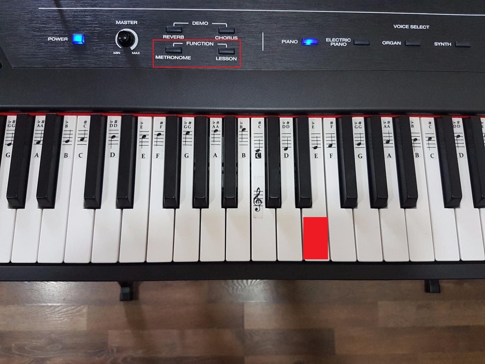 Alesis Recital 88-Key Digital Piano with Semi-Weighted Keys | 20W Speakers, 5 Voices, Split/Layer Modes, Adjustable Touch Response, Piano Lessons, for Beginners customer photo 2