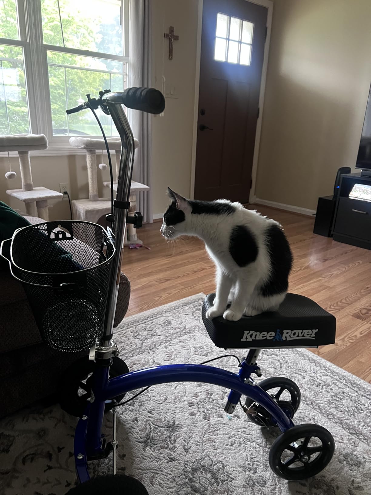 KneeRover Hybrid All Terrain Knee Scooter for Adults, Blue | Heavy Duty Knee Walker For Foot Surgery, Broken Ankle Foot Injuries, Leg Recovery Scooter, Knee Crutch Alternative customer photo 2